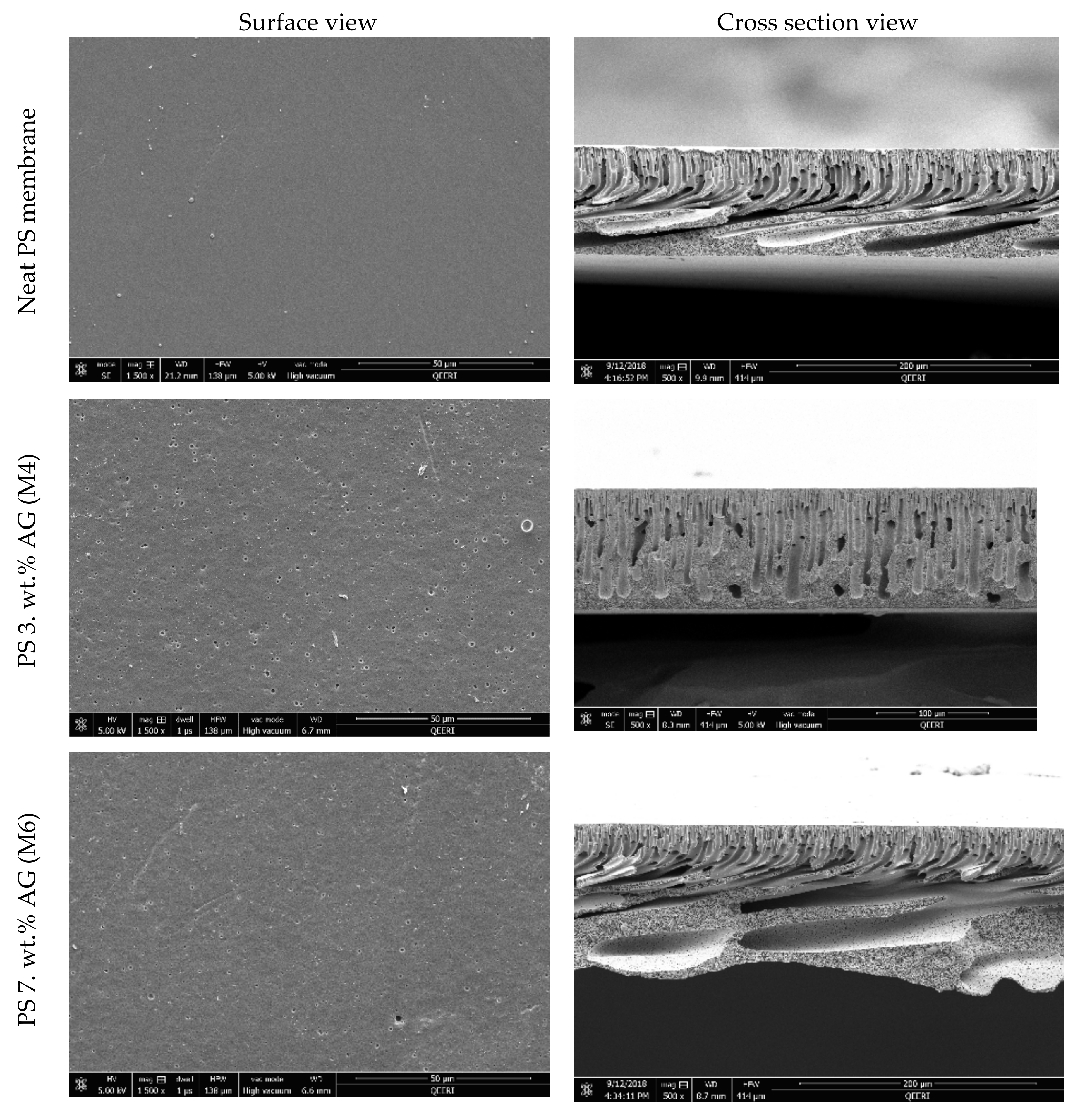Membranes 09 00029 g001