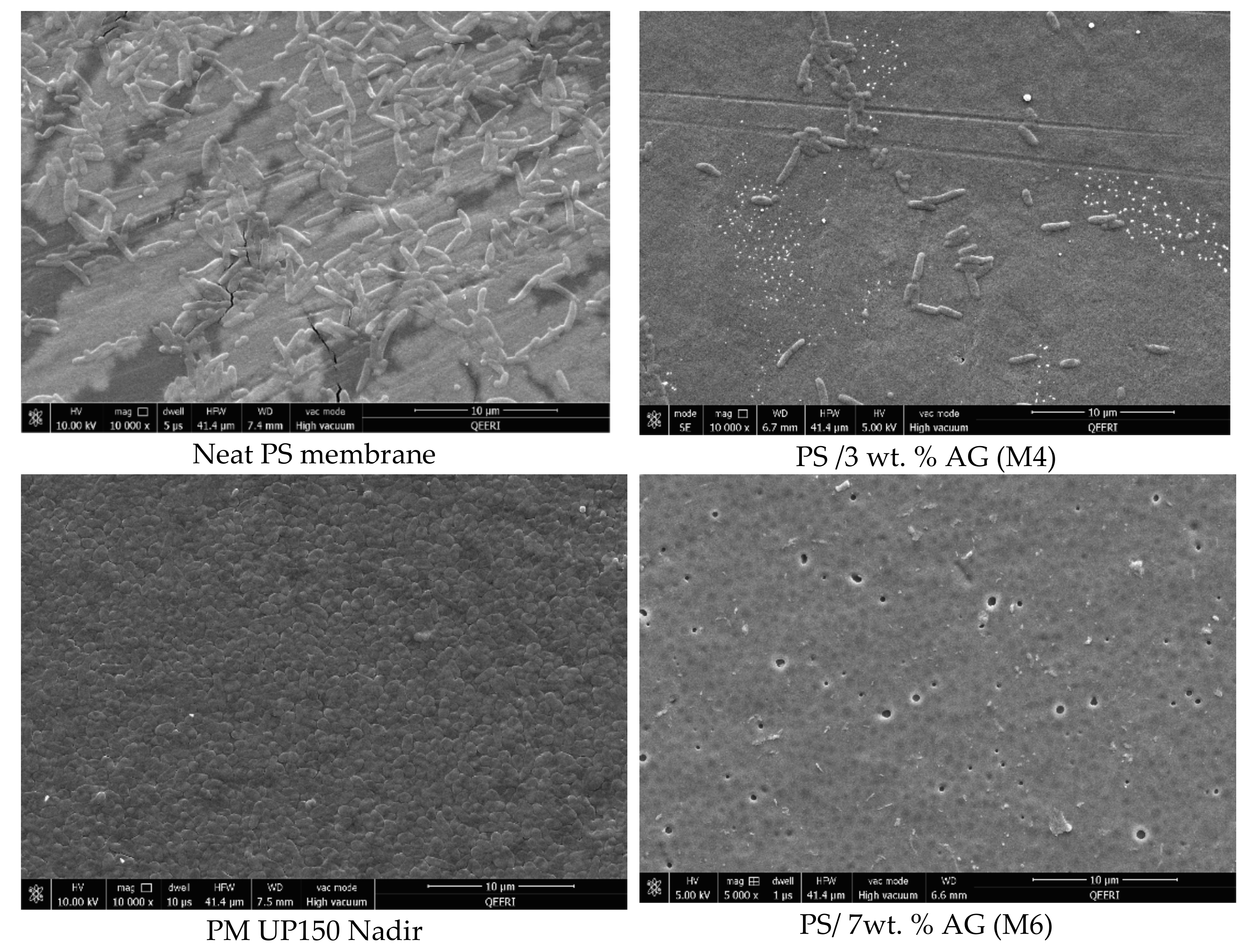 Membranes 09 00029 g006