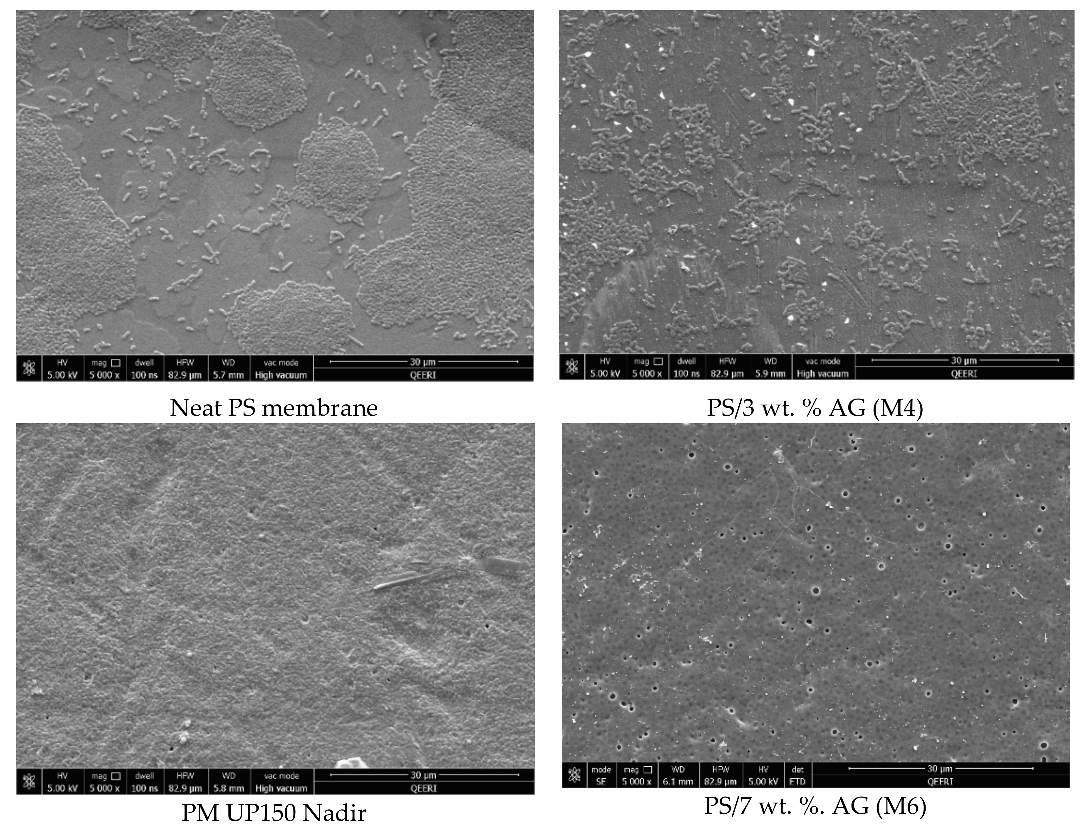 Membranes 09 00029 g007