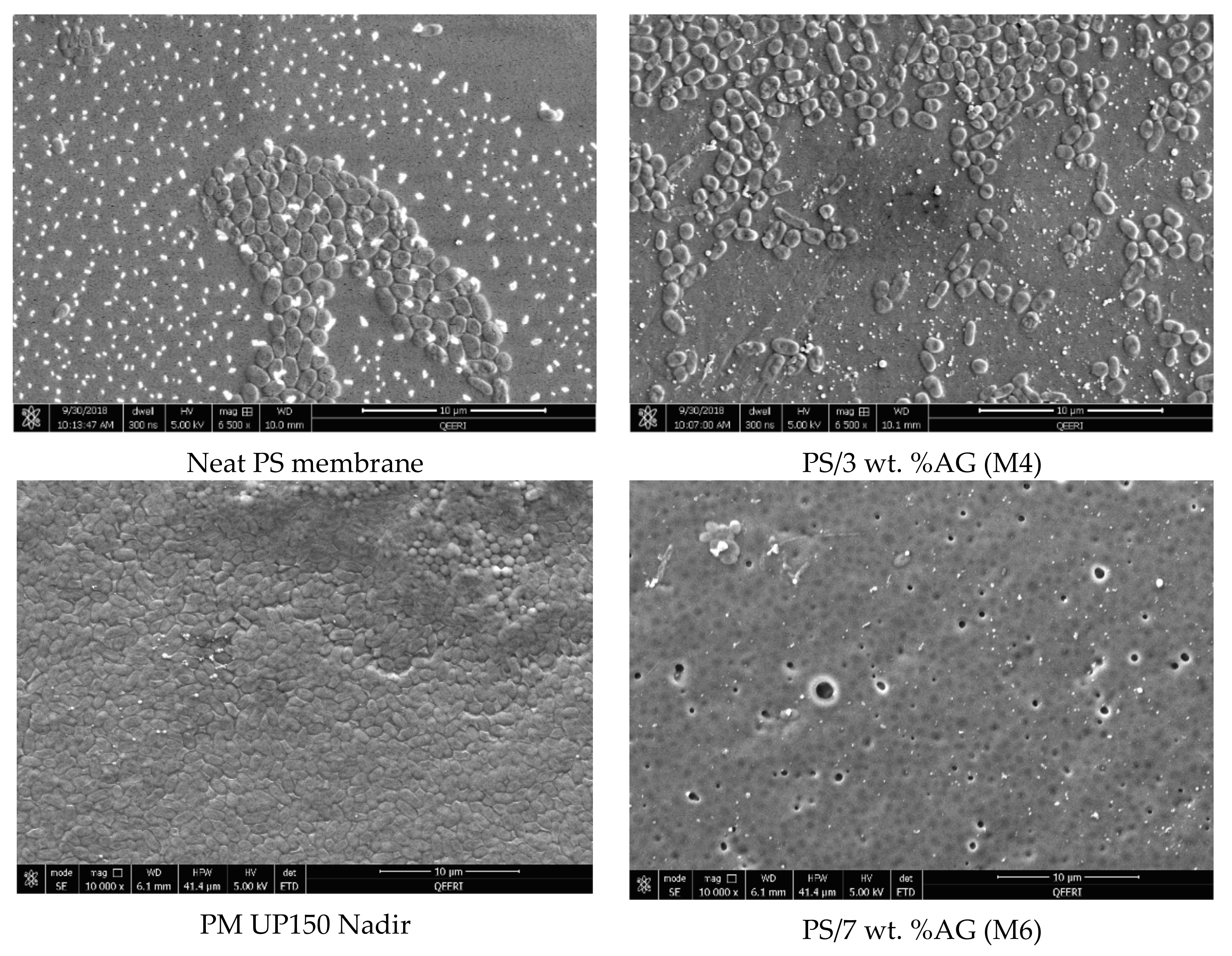 Membranes 09 00029 g008