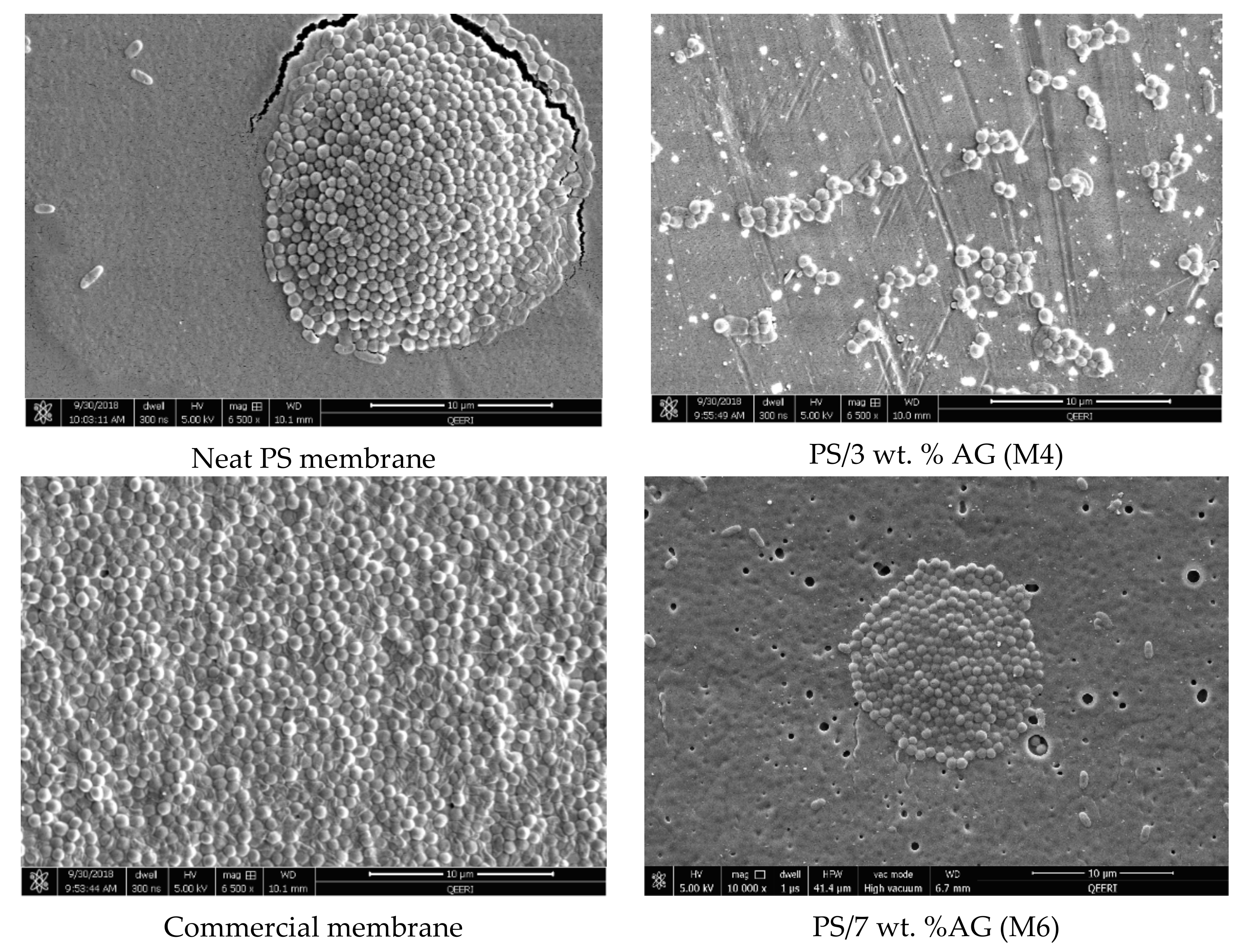 Membranes 09 00029 g009