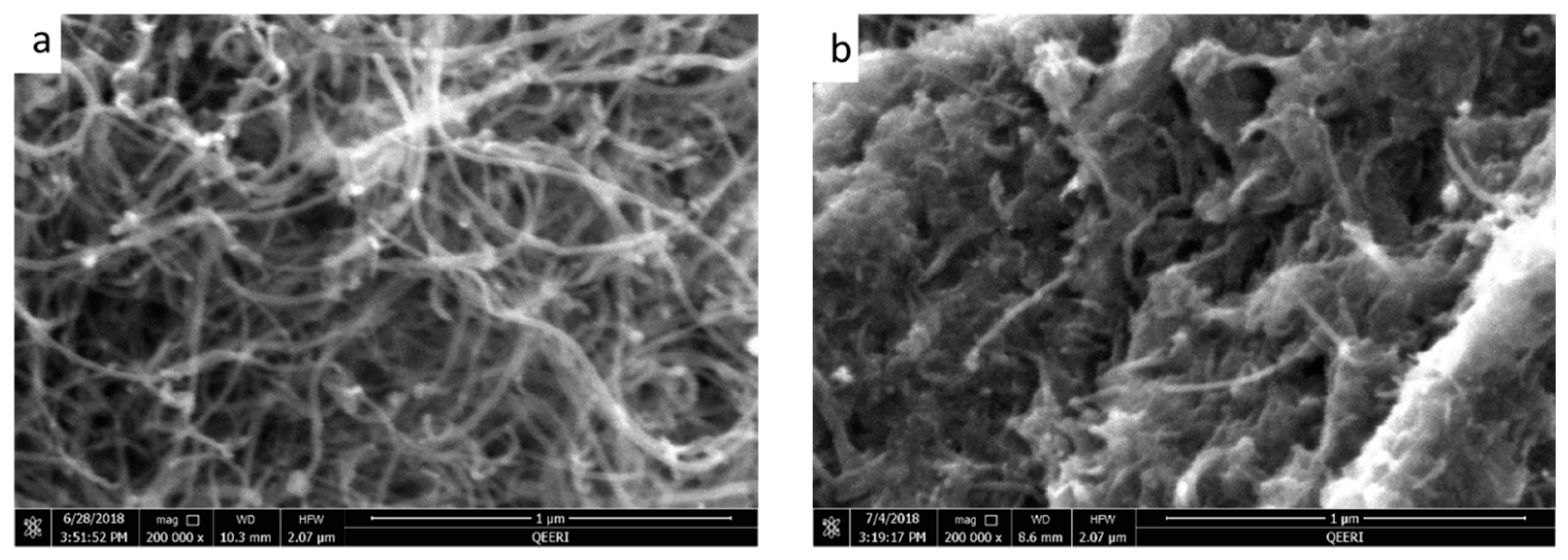 Membranes 09 00032 g001