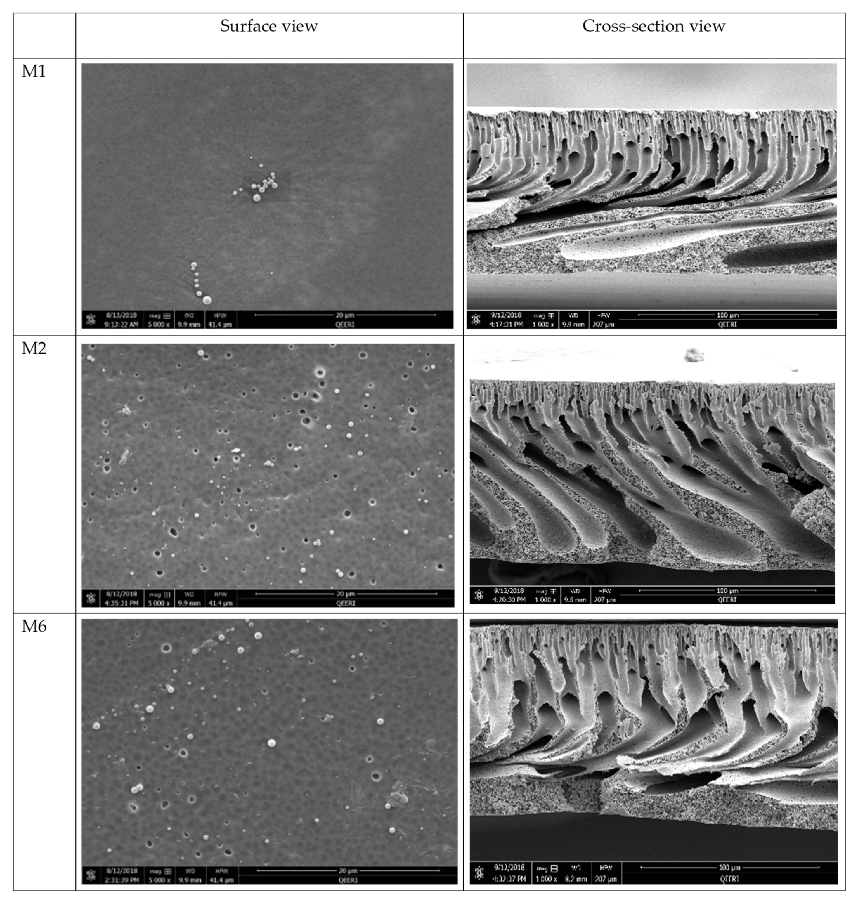 Membranes 09 00032 g004