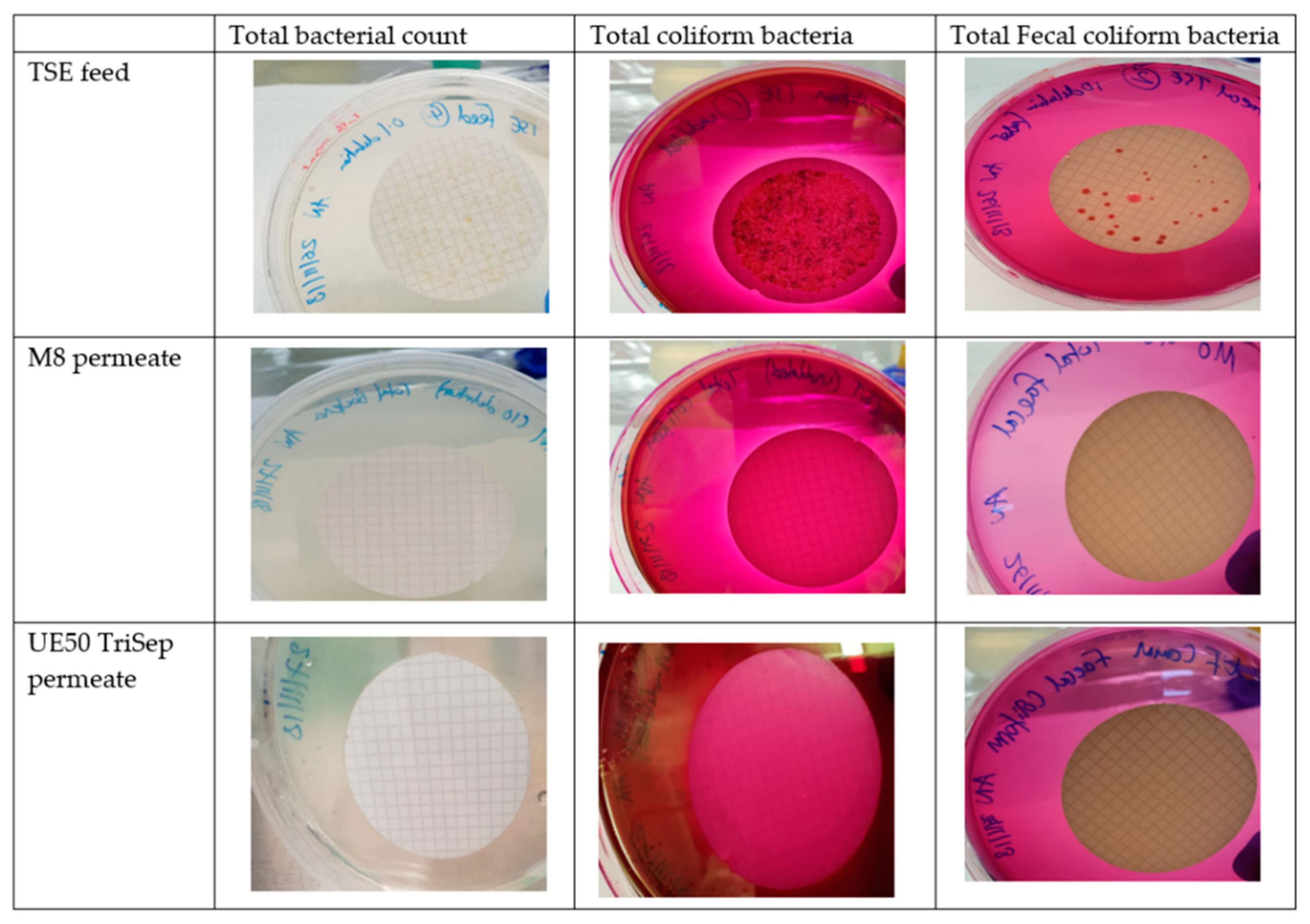 Membranes 09 00032 g016