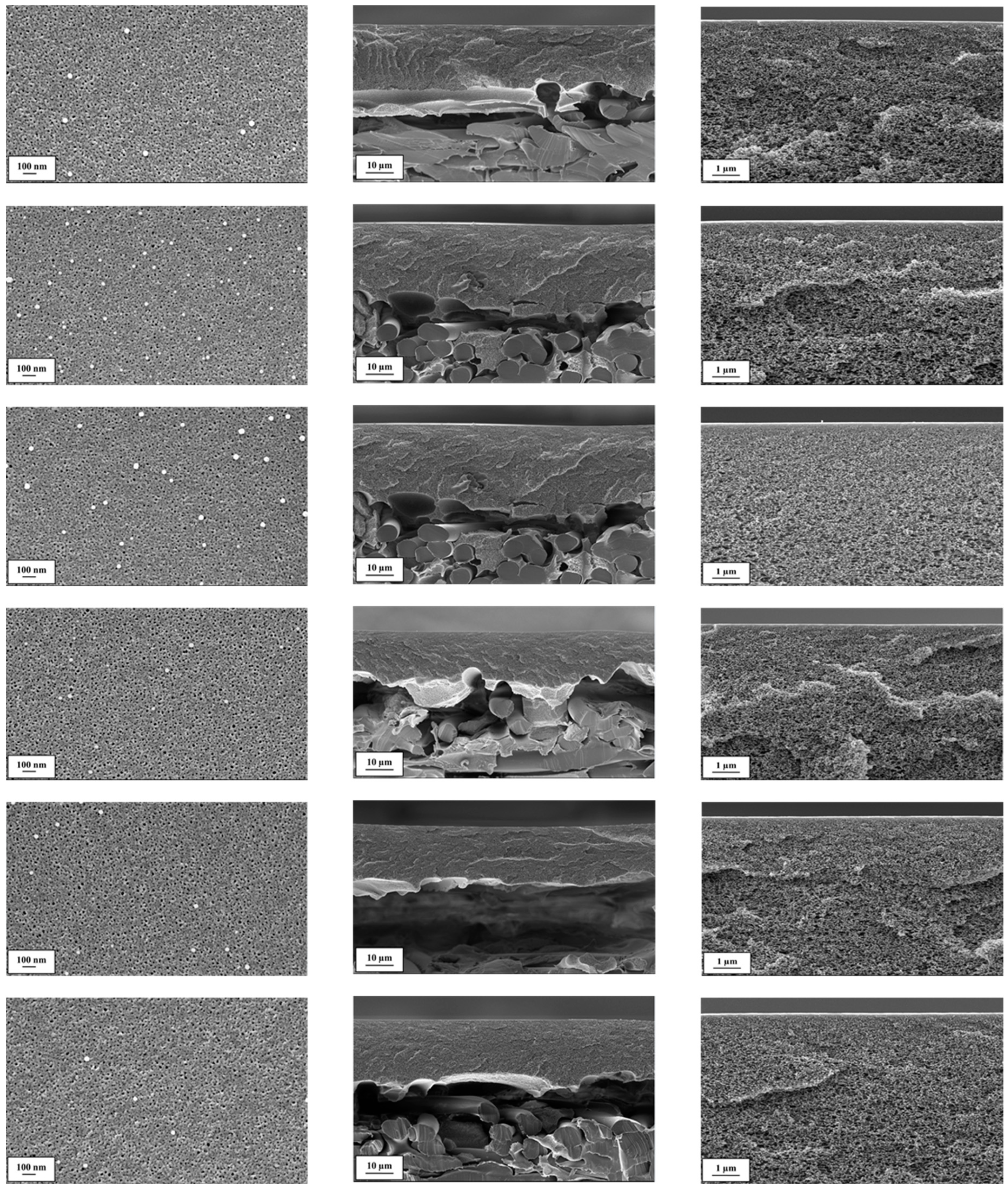 Membranes 09 00035 g001 Membranes 09 00035 g001