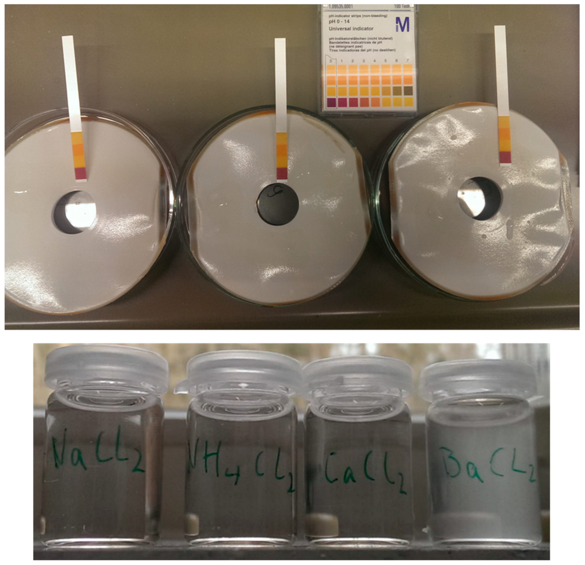 Membranes 09 00035 g016 Membranes 09 00035 g016