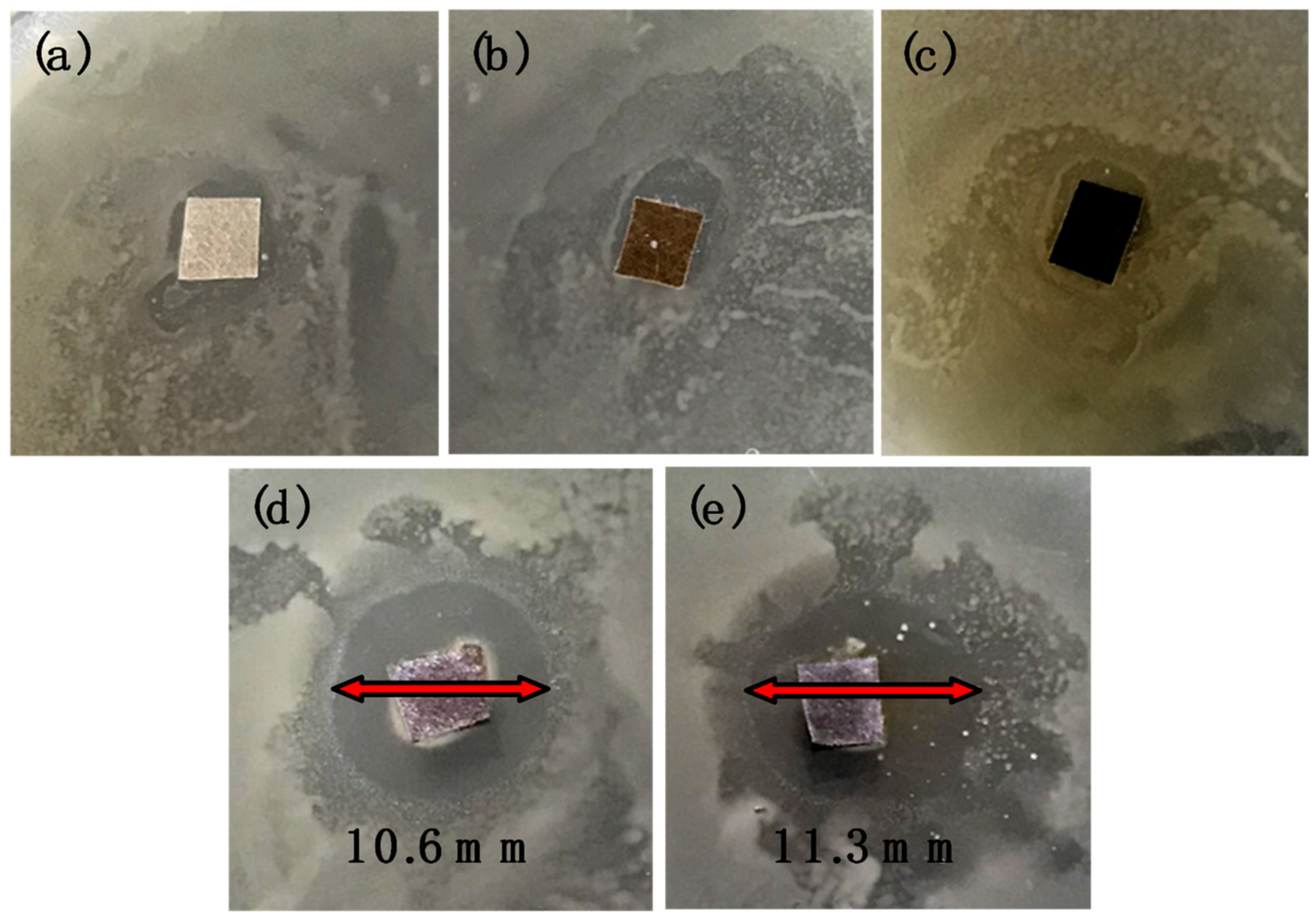 Membranes 09 00036 g010