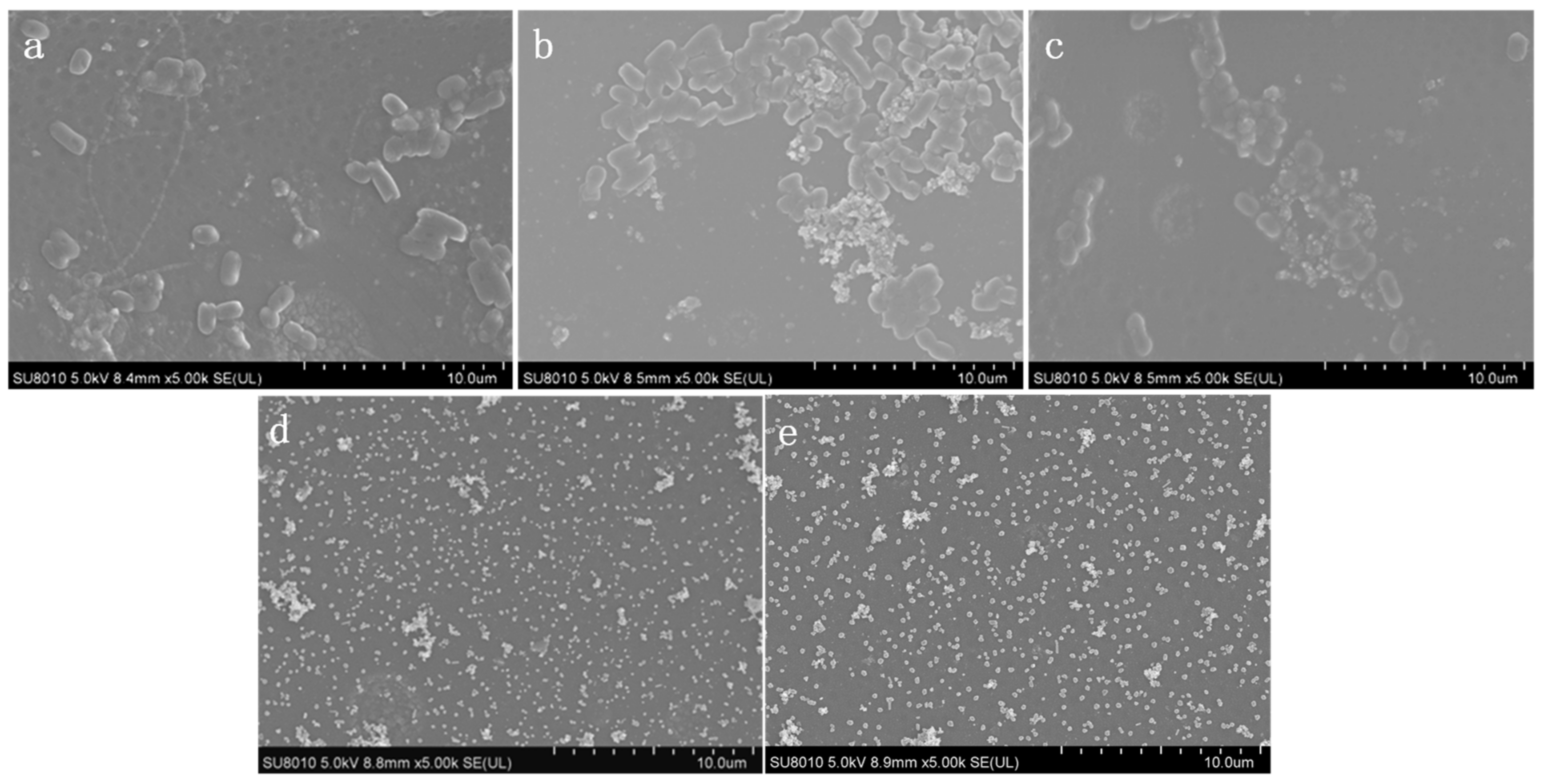 Membranes 09 00036 g012