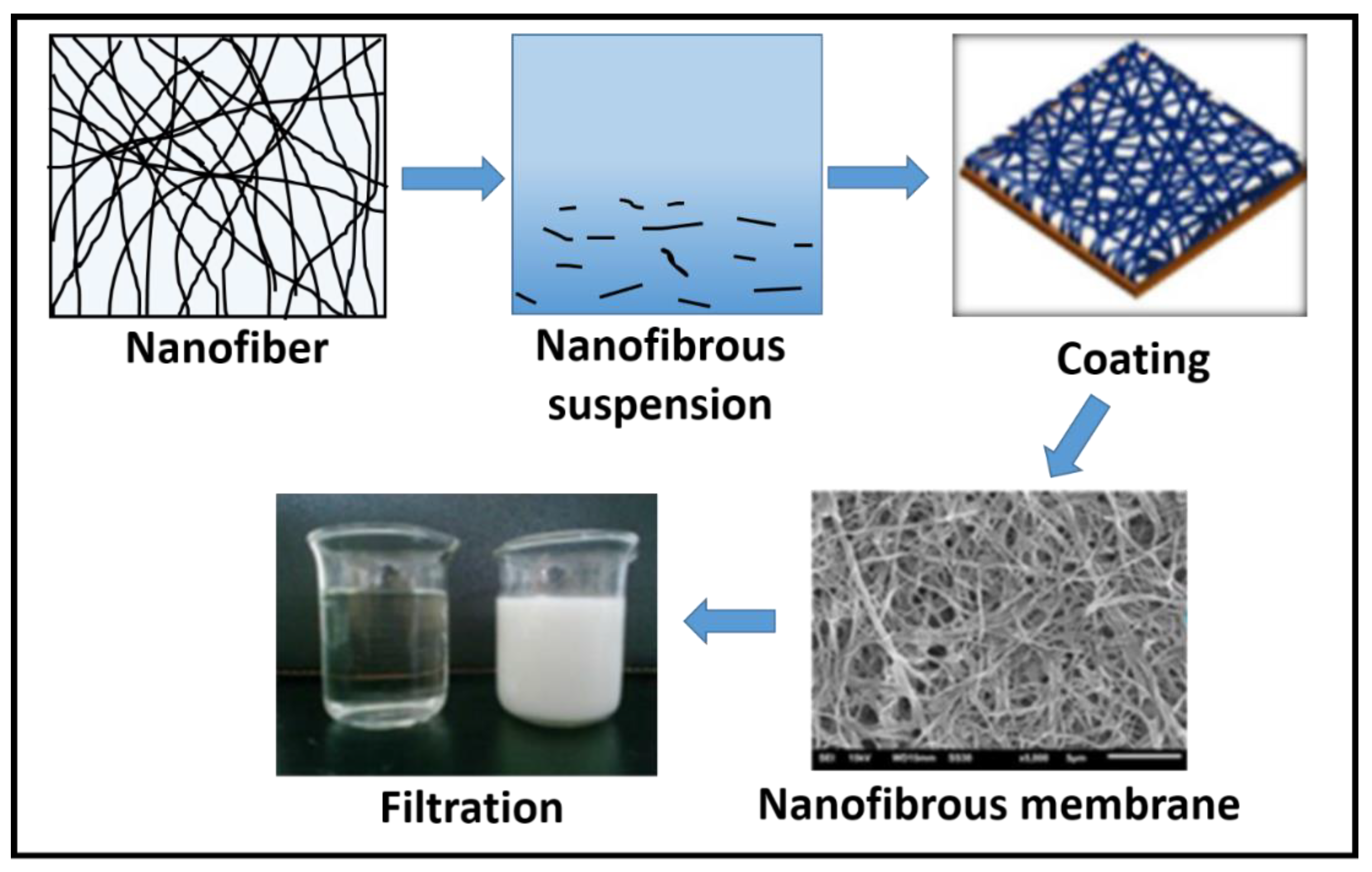 Membranes 09 00040 g001