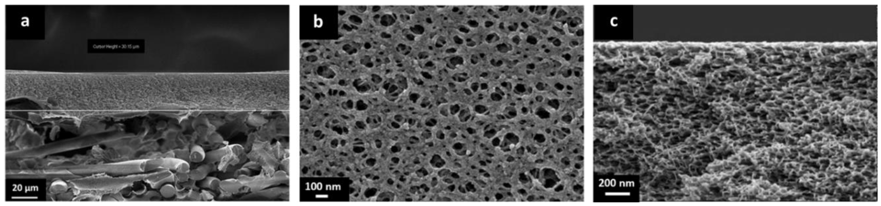 Membranes 09 00051 g004 Membranes 09 00051 g004