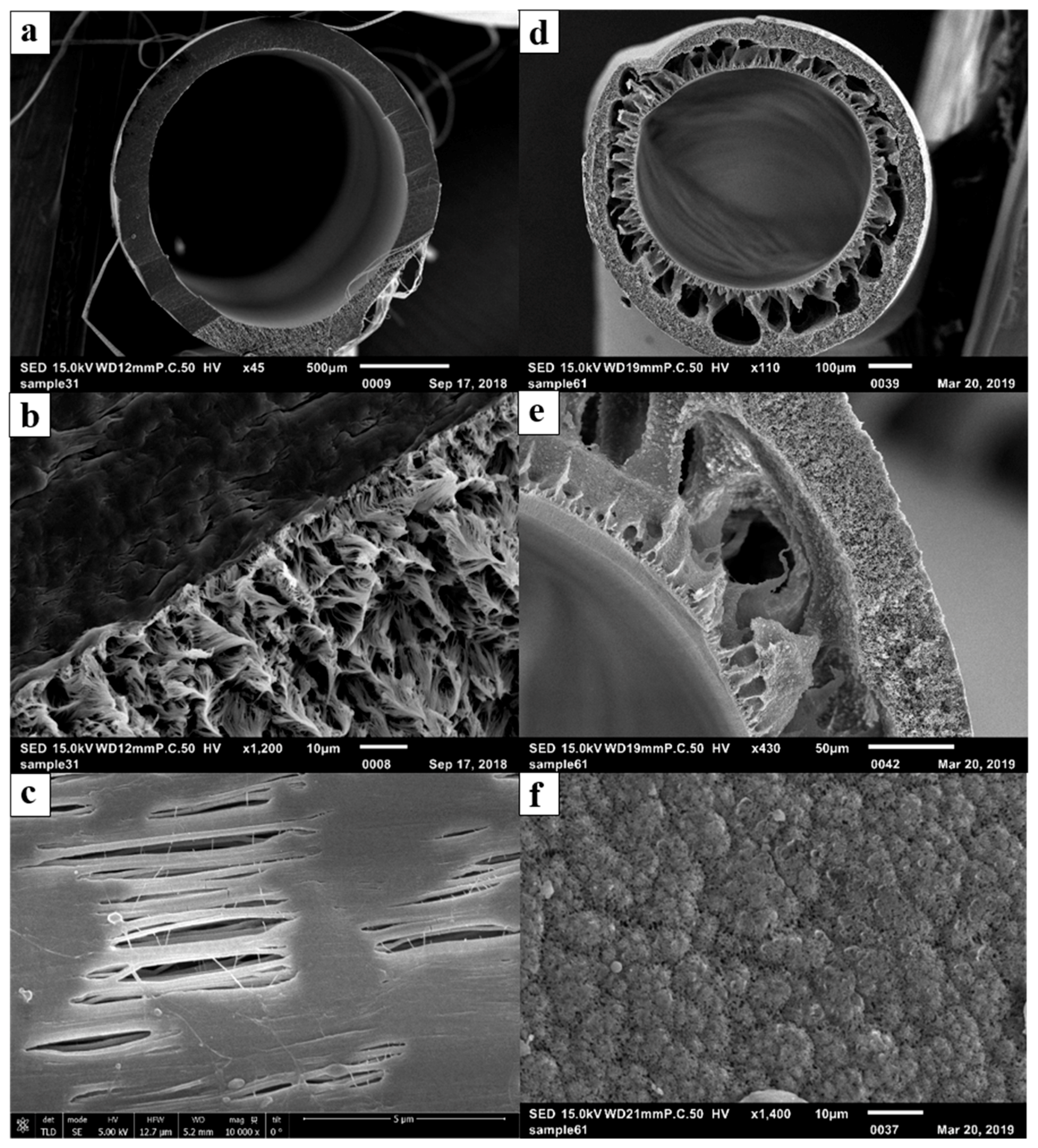 Membranes 09 00052 g003 Membranes 09 00052 g003
