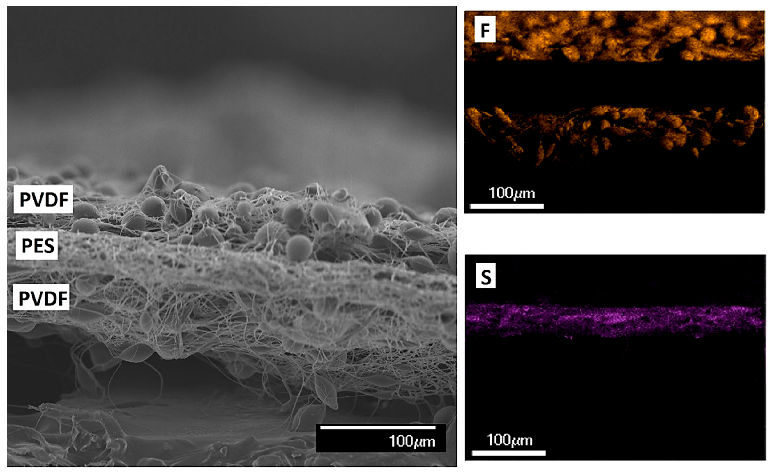 Membranes 09 00060 g002