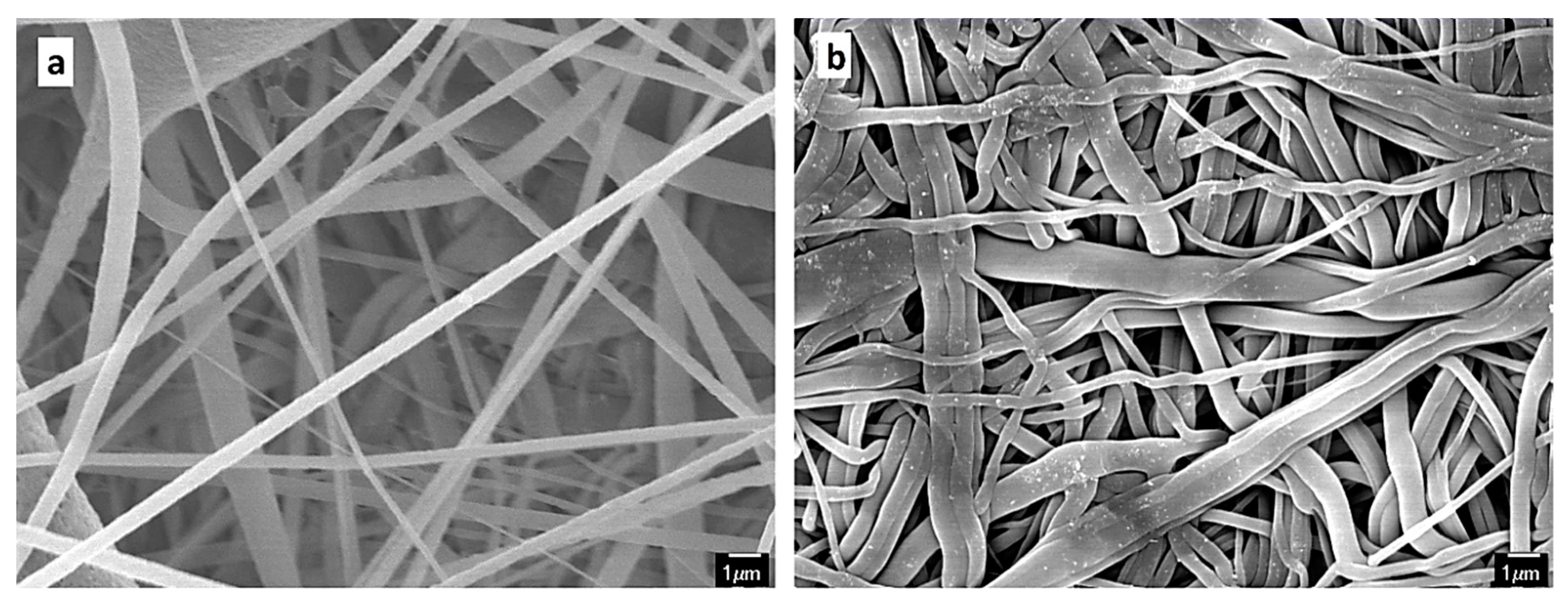 Membranes 09 00060 g003