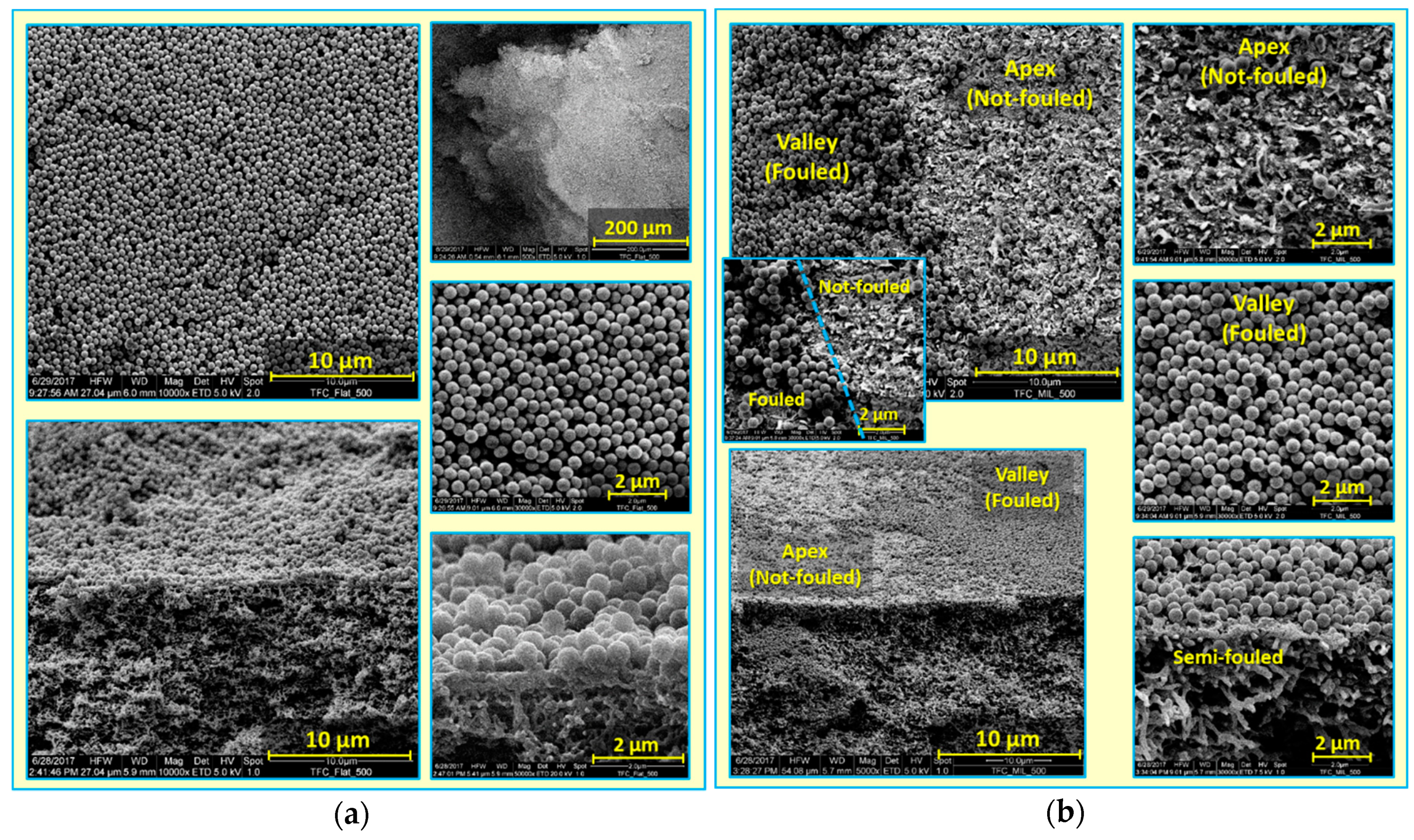 Membranes 09 00067 g003