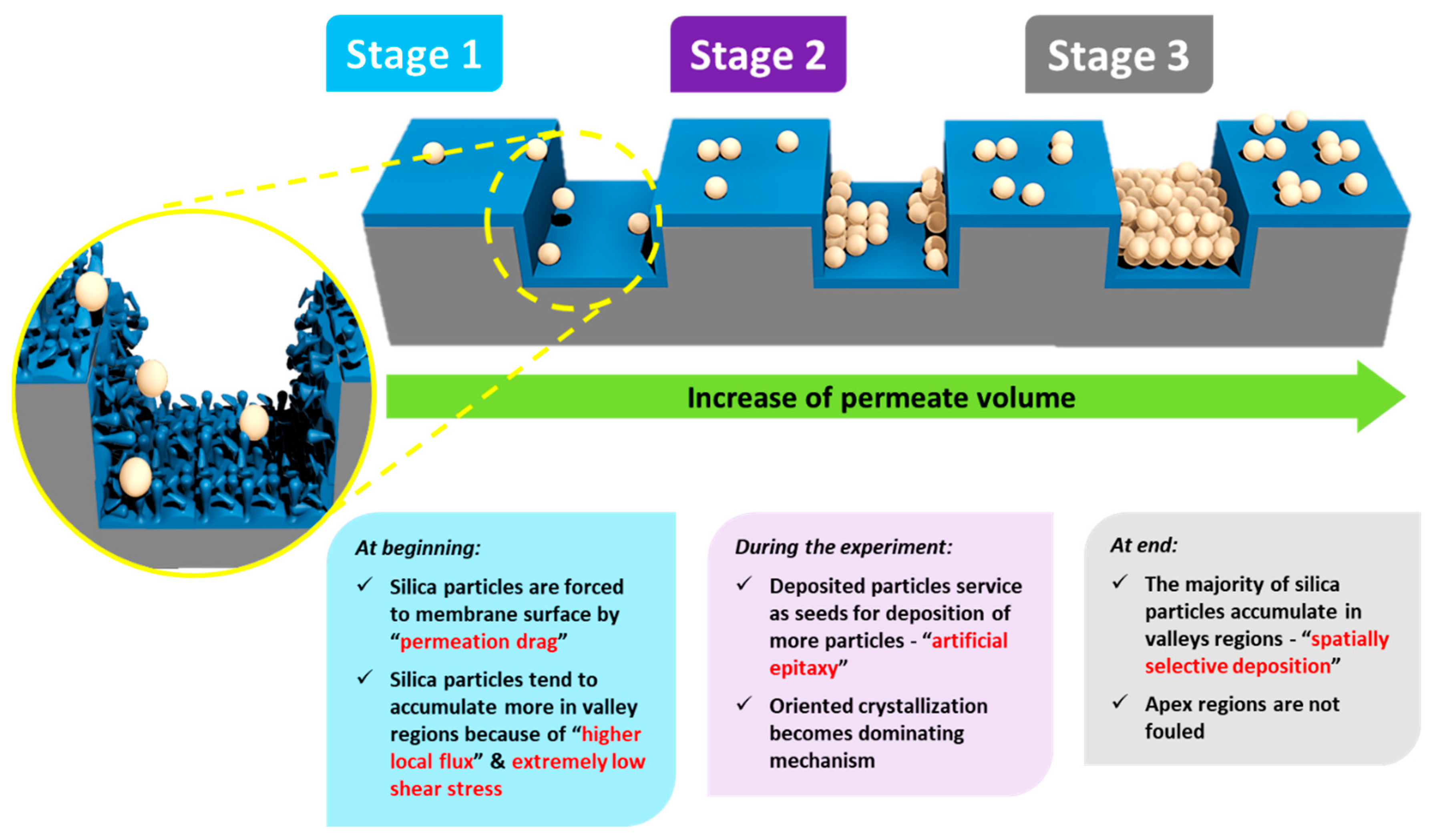 Membranes 09 00067 g004