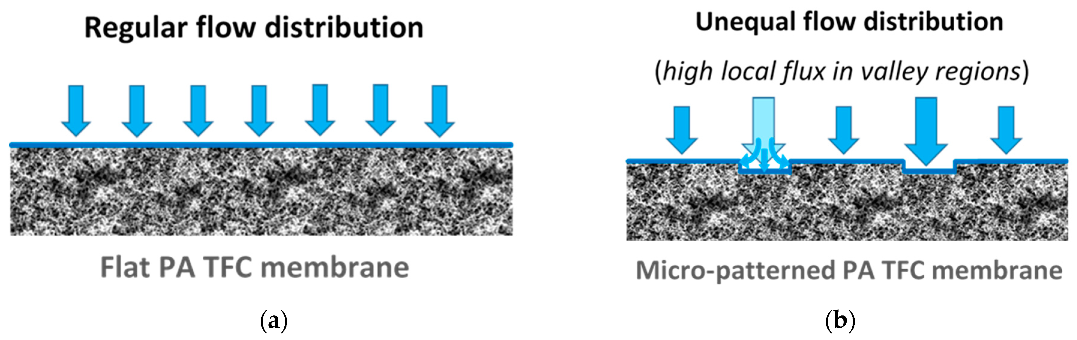 Membranes 09 00067 g005