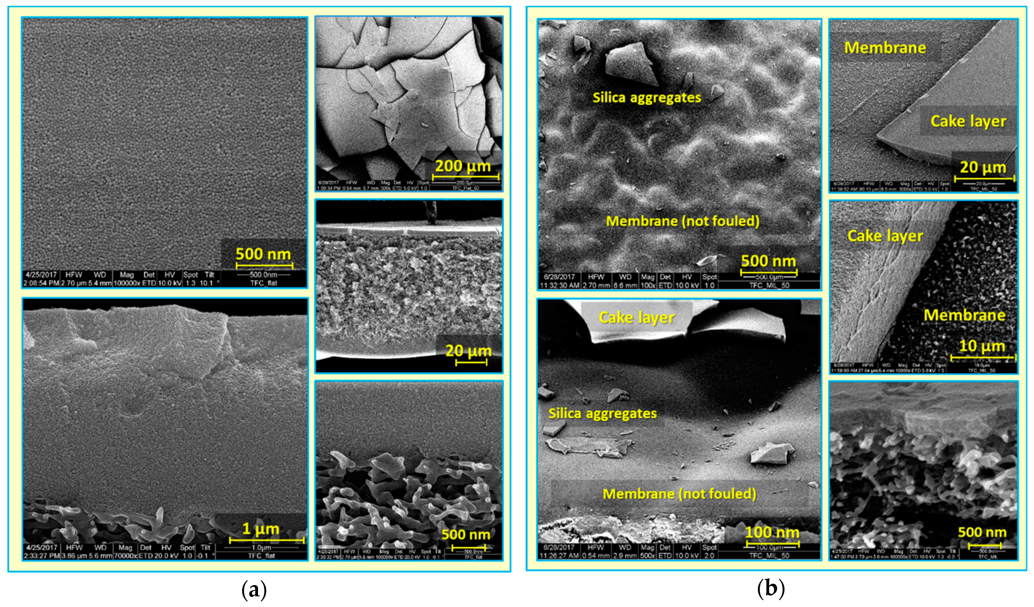 Membranes 09 00067 g007