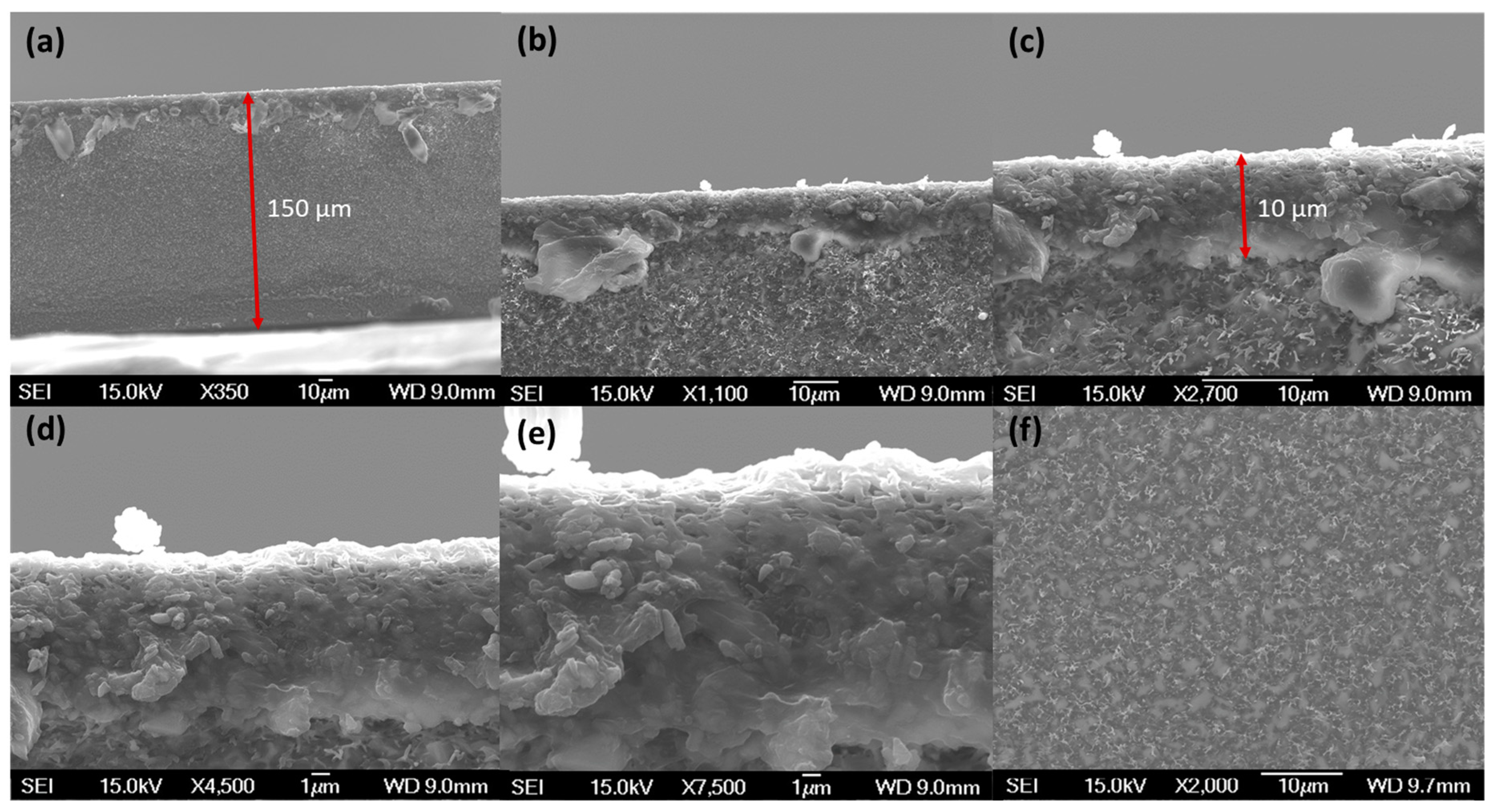 Membranes 09 00072 g004