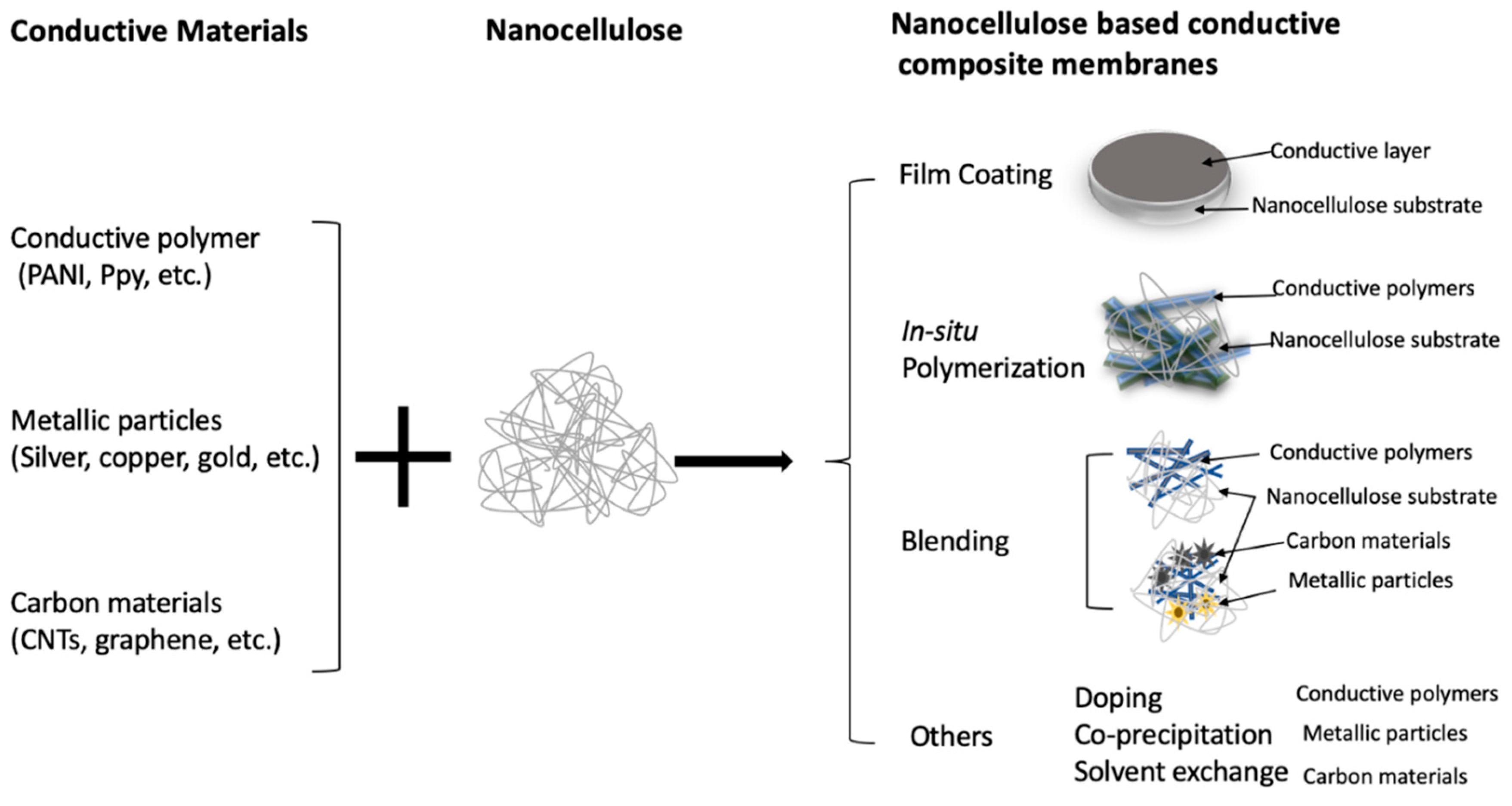 Membranes 09 00074 g003 Membranes 09 00074 g003