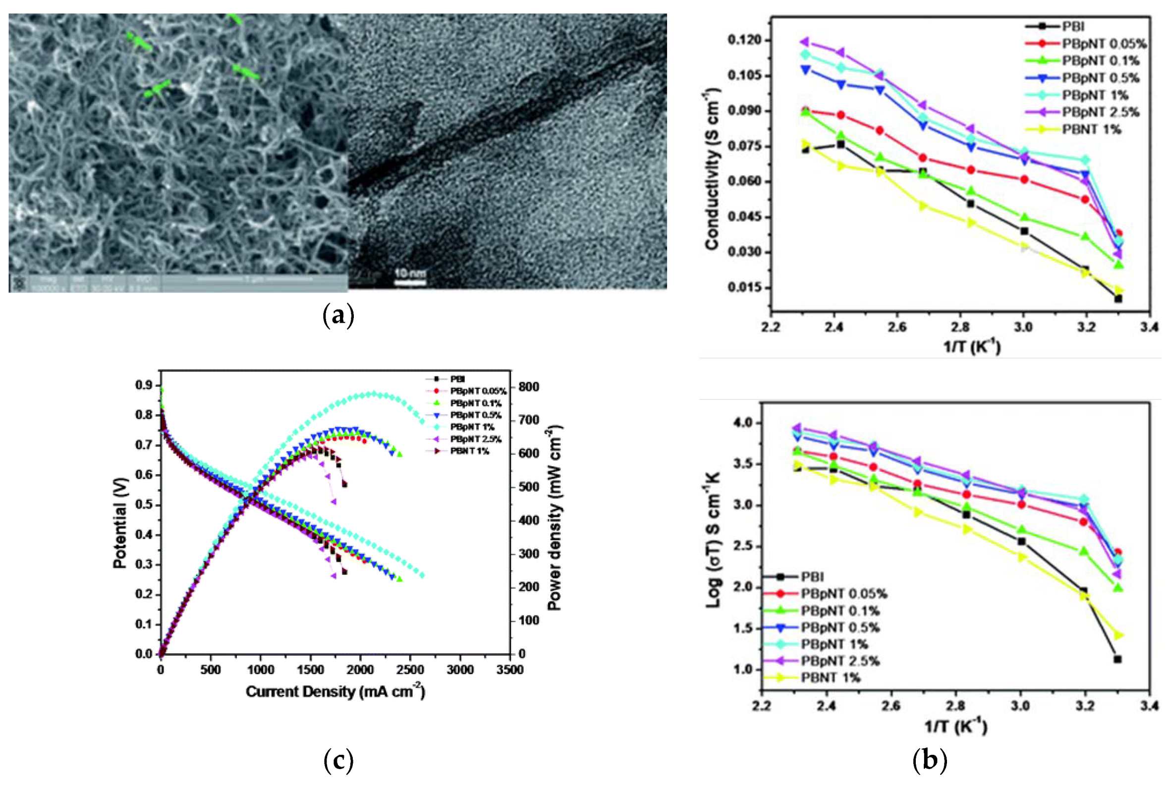 Membranes 09 00083 g015