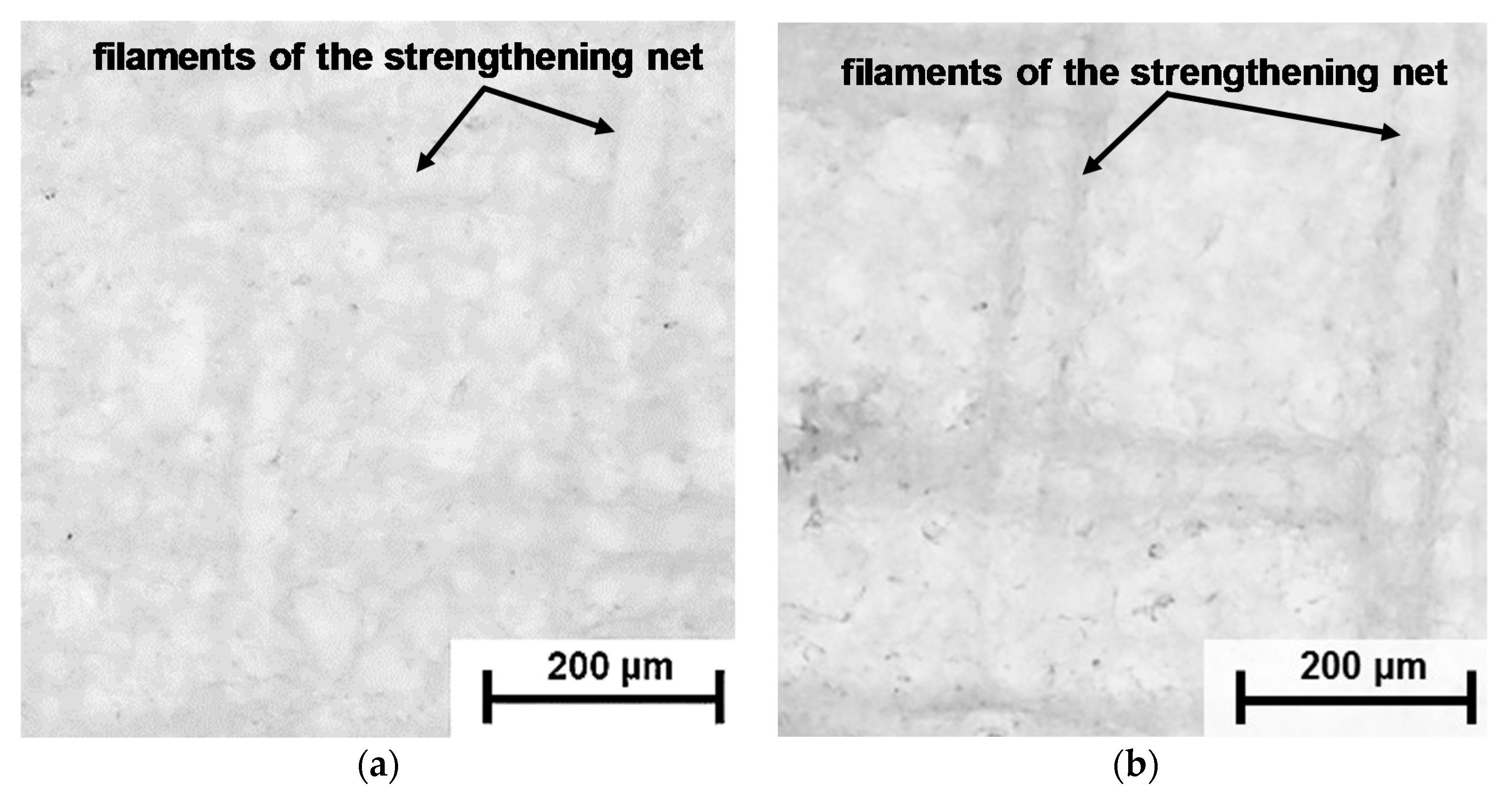 Membranes 09 00084 g005a