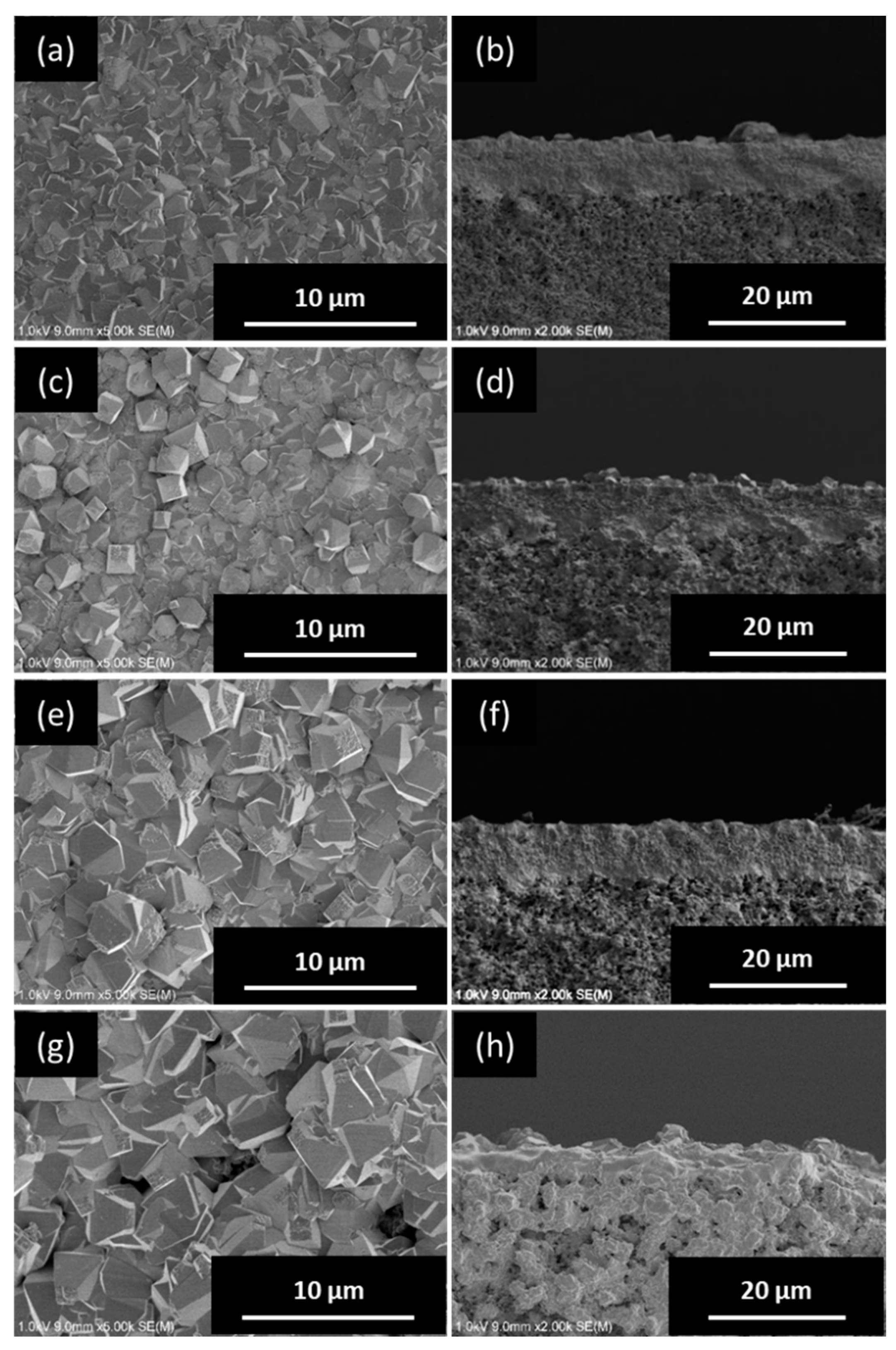 Membranes 09 00086 g004