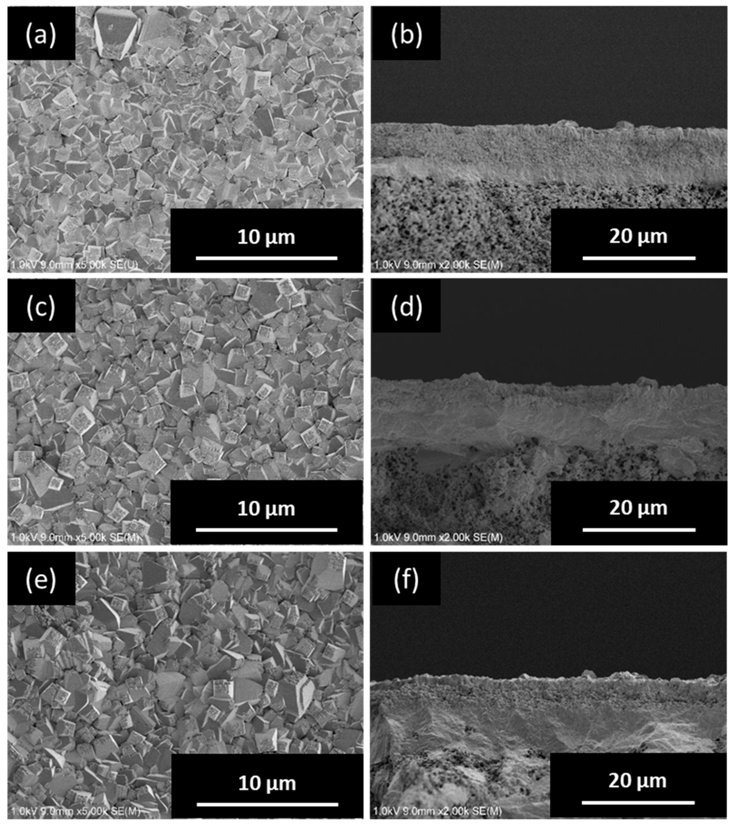 Membranes 09 00086 g006