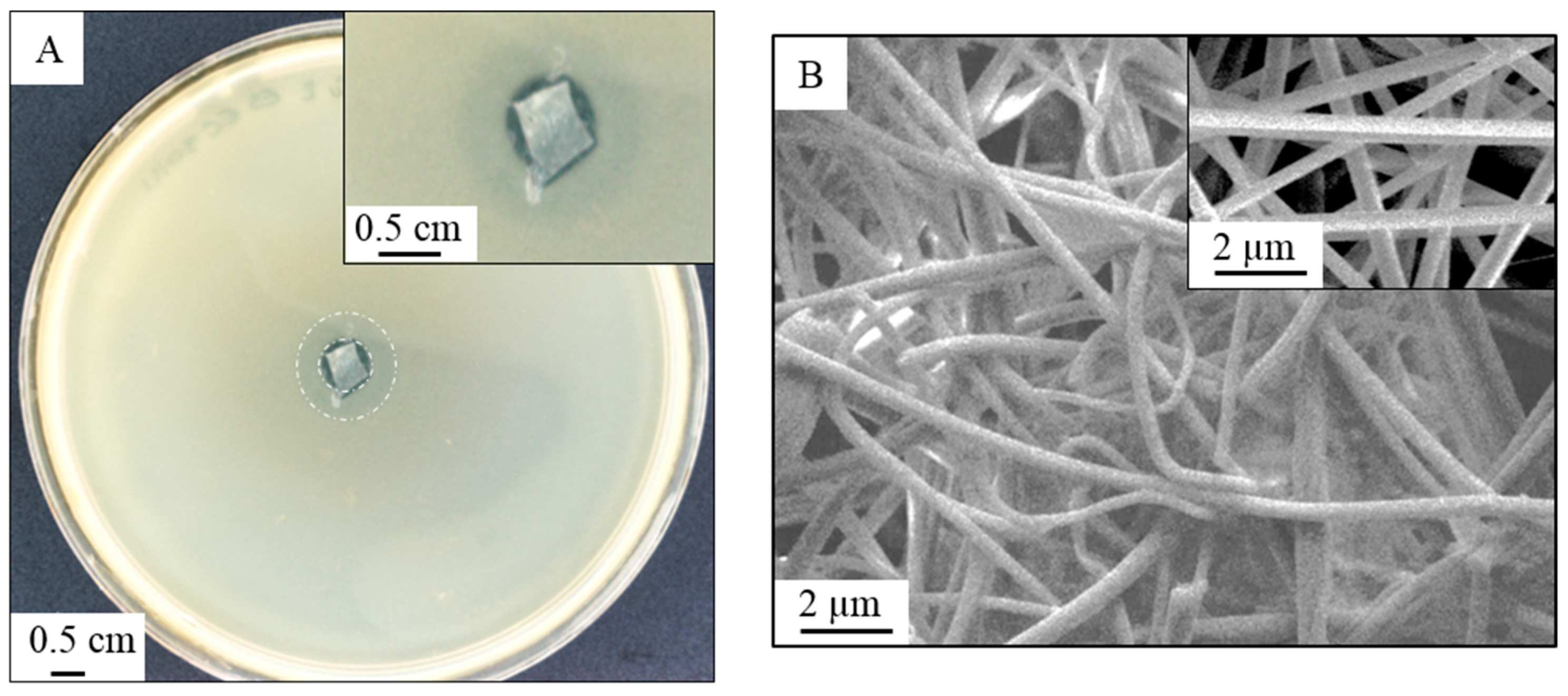 Membranes 09 00087 g006 Membranes 09 00087 g006