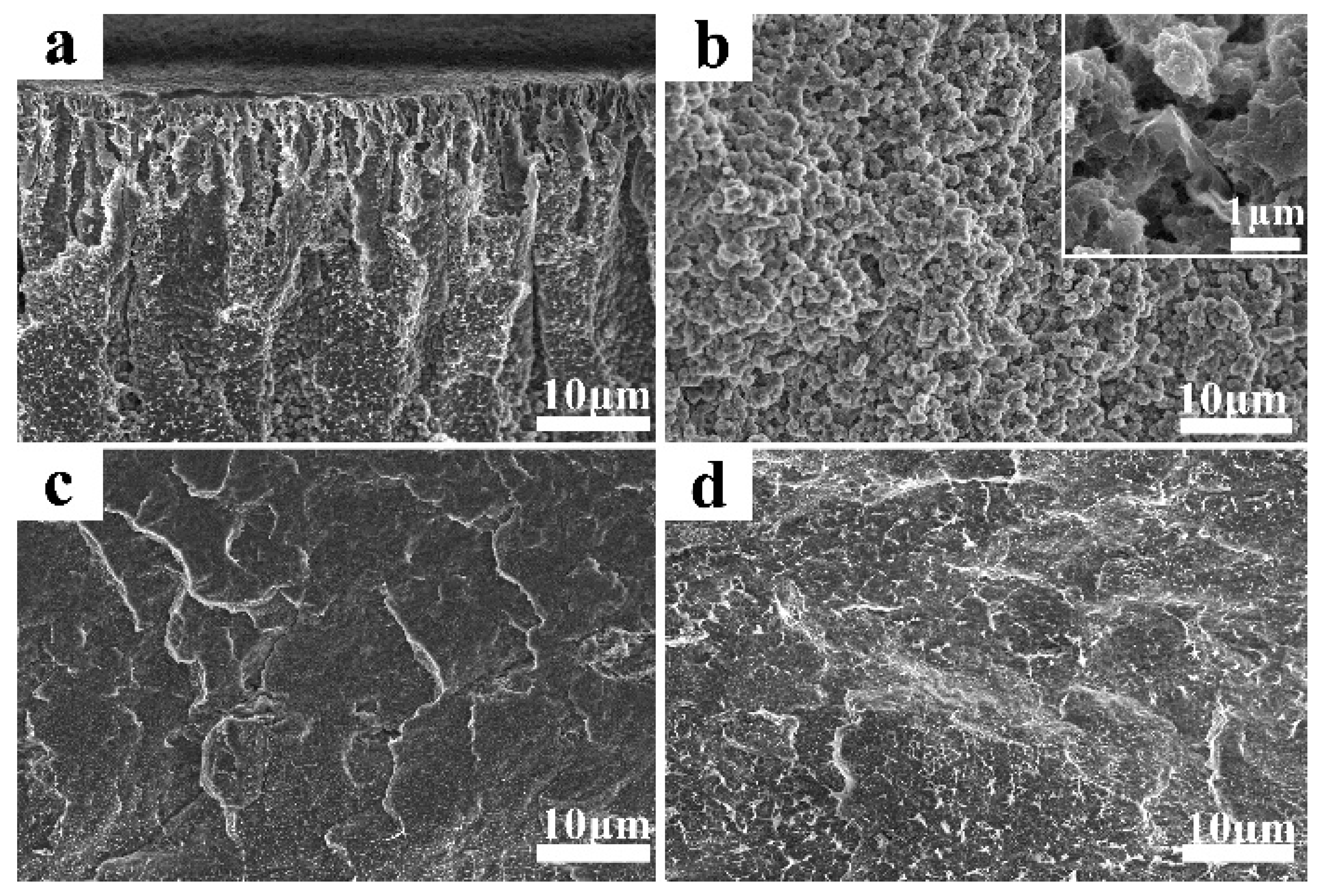 Membranes 09 00089 g003 Membranes 09 00089 g003