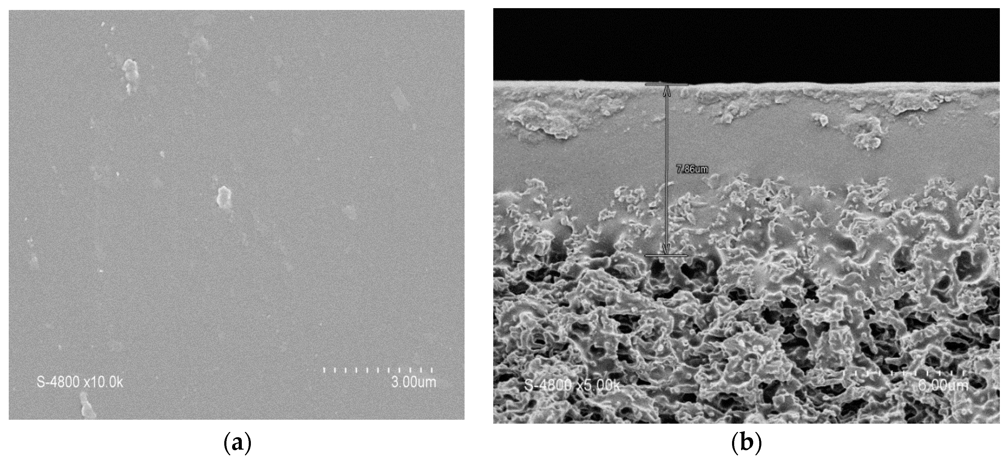 Membranes 09 00093 g006