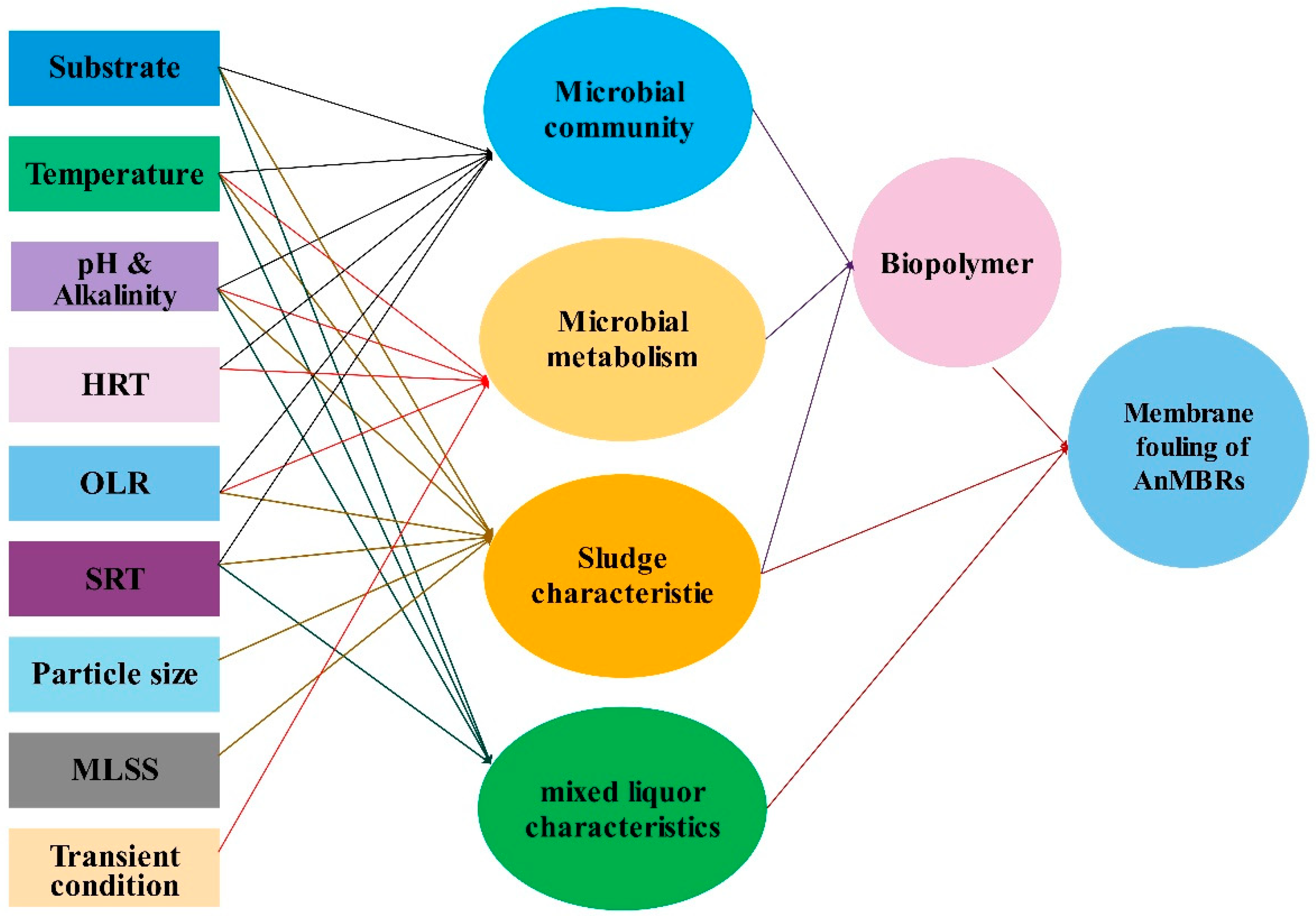Membranes 09 00100 g001