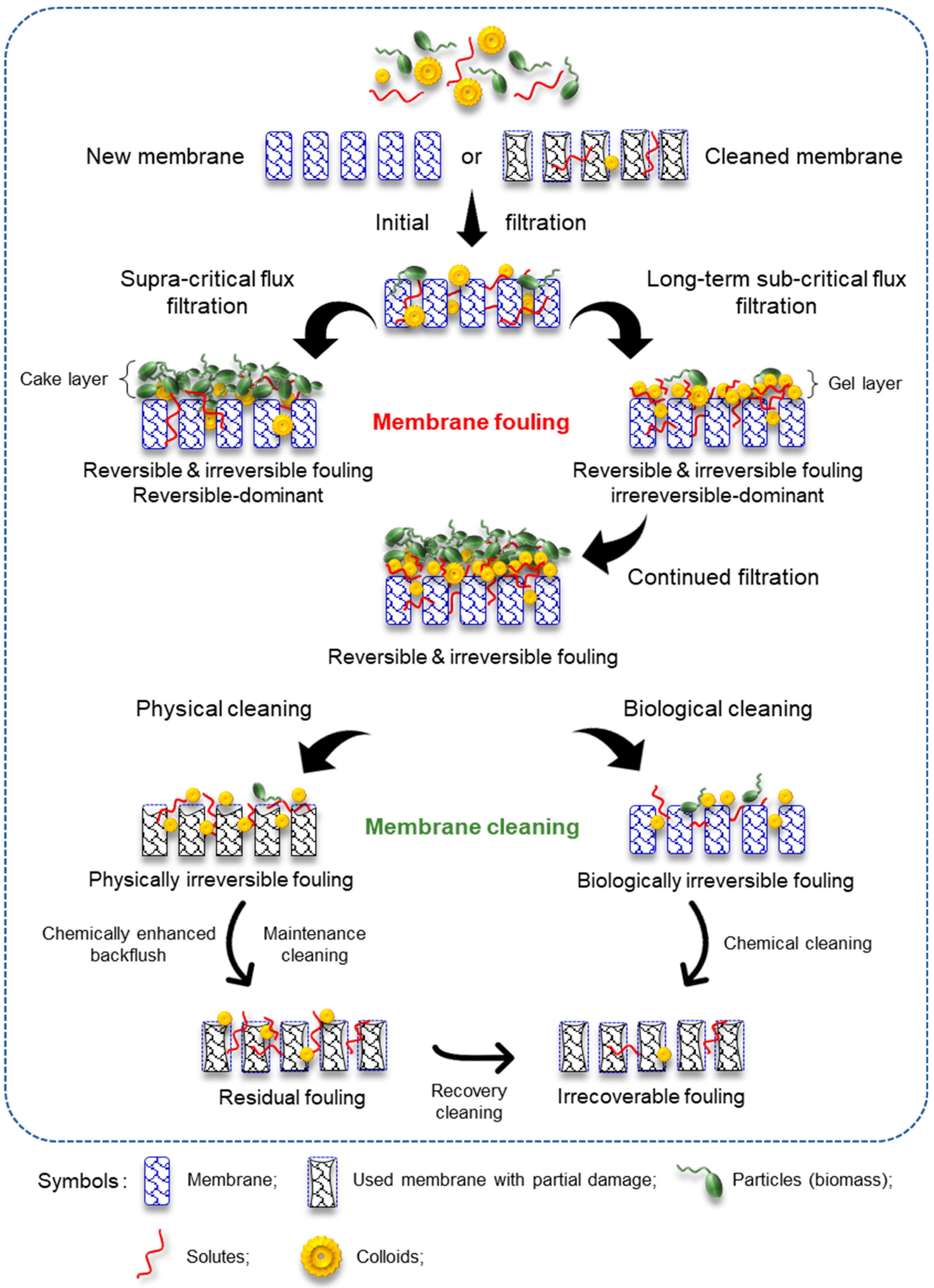 Membranes 09 00100 g002