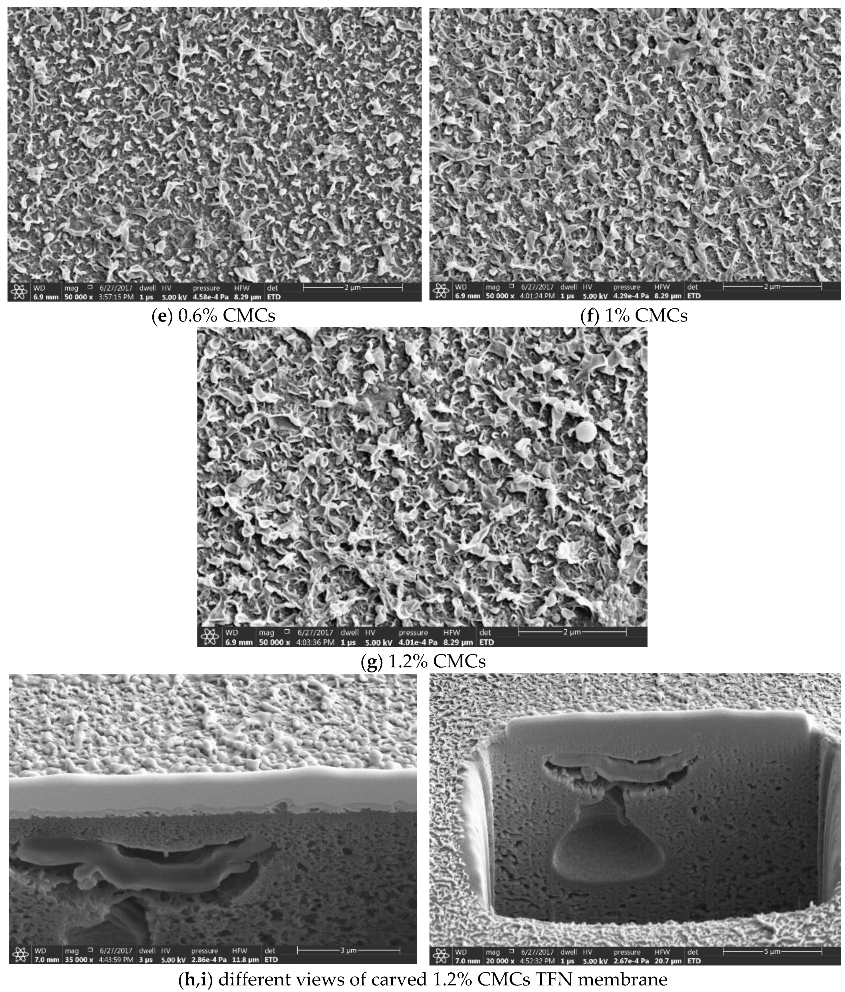 Membranes 09 00101 g002b Membranes 09 00101 g002b