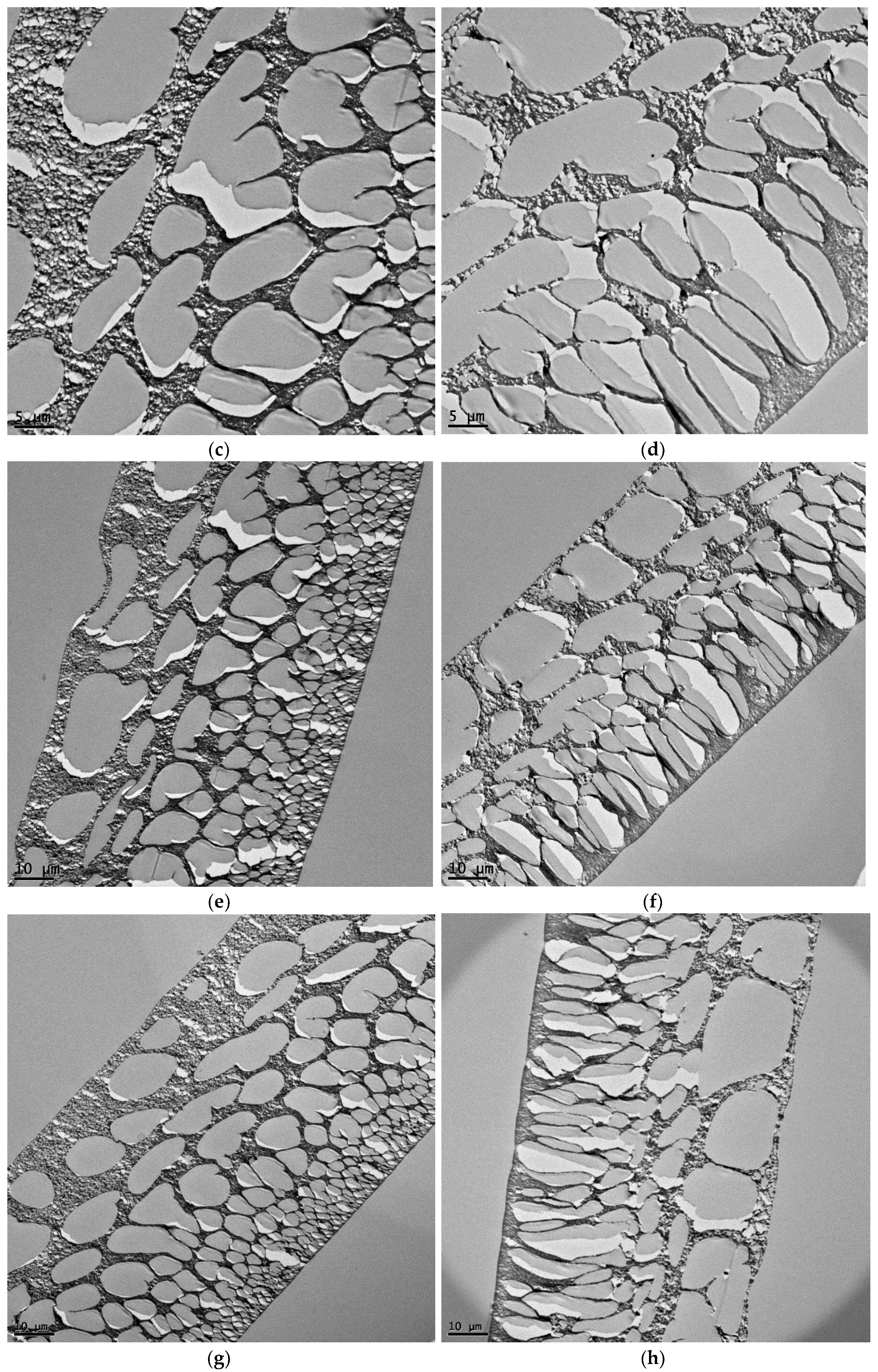 Membranes 09 00101 g005b Membranes 09 00101 g005b