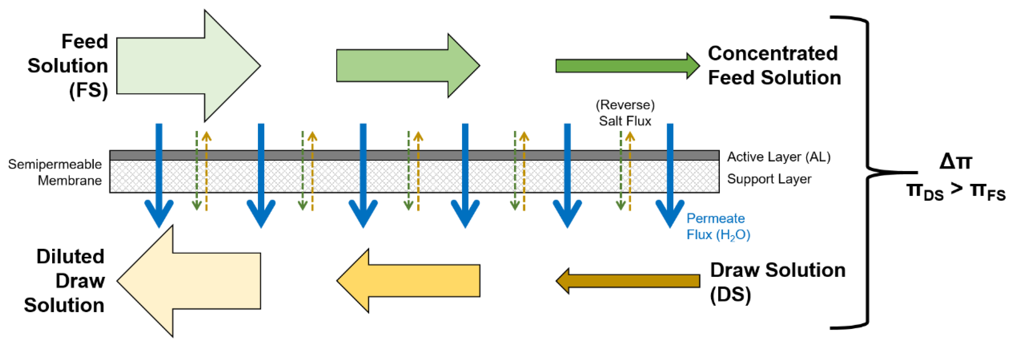 Membranes 09 00106 g001