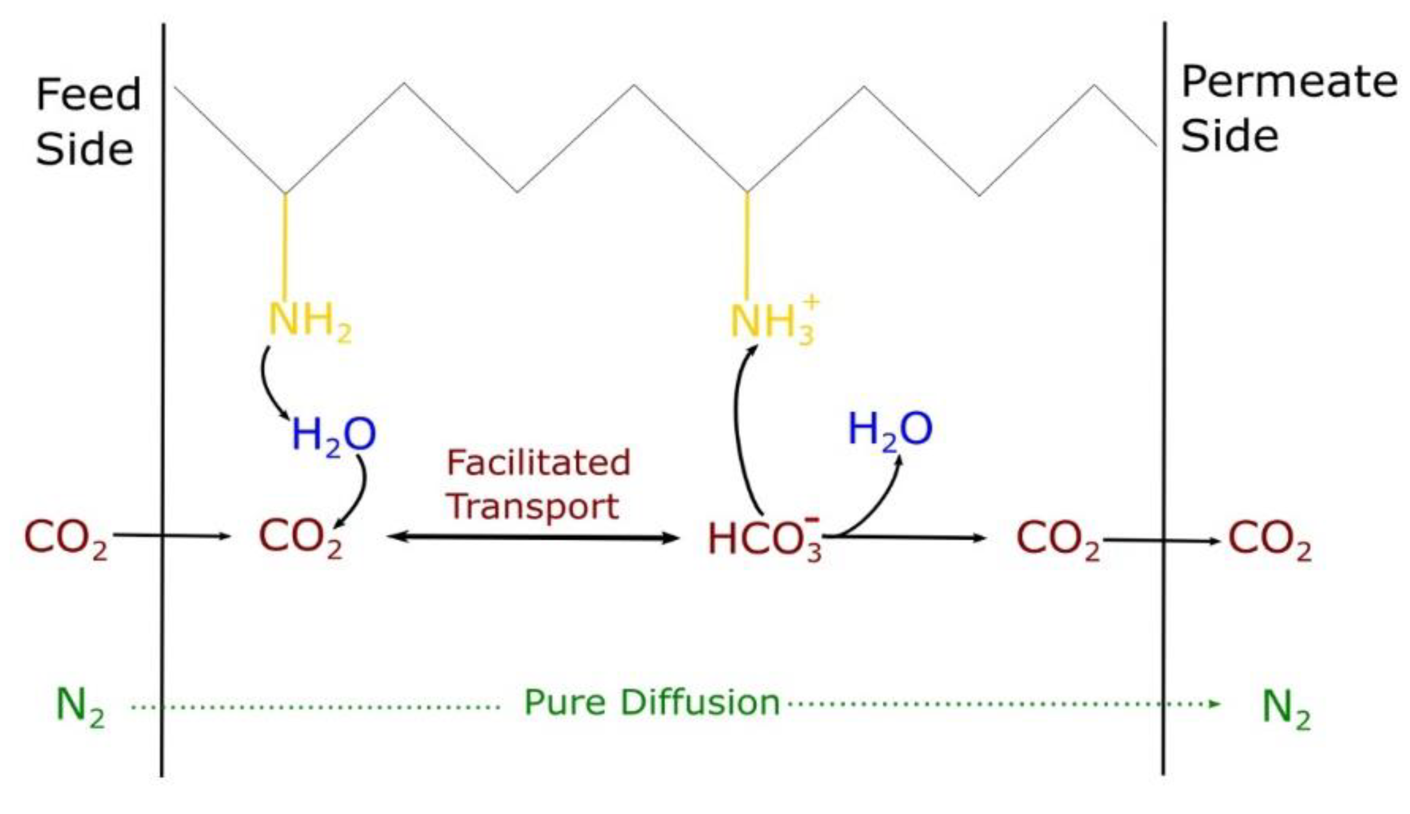 Membranes 09 00119 g001