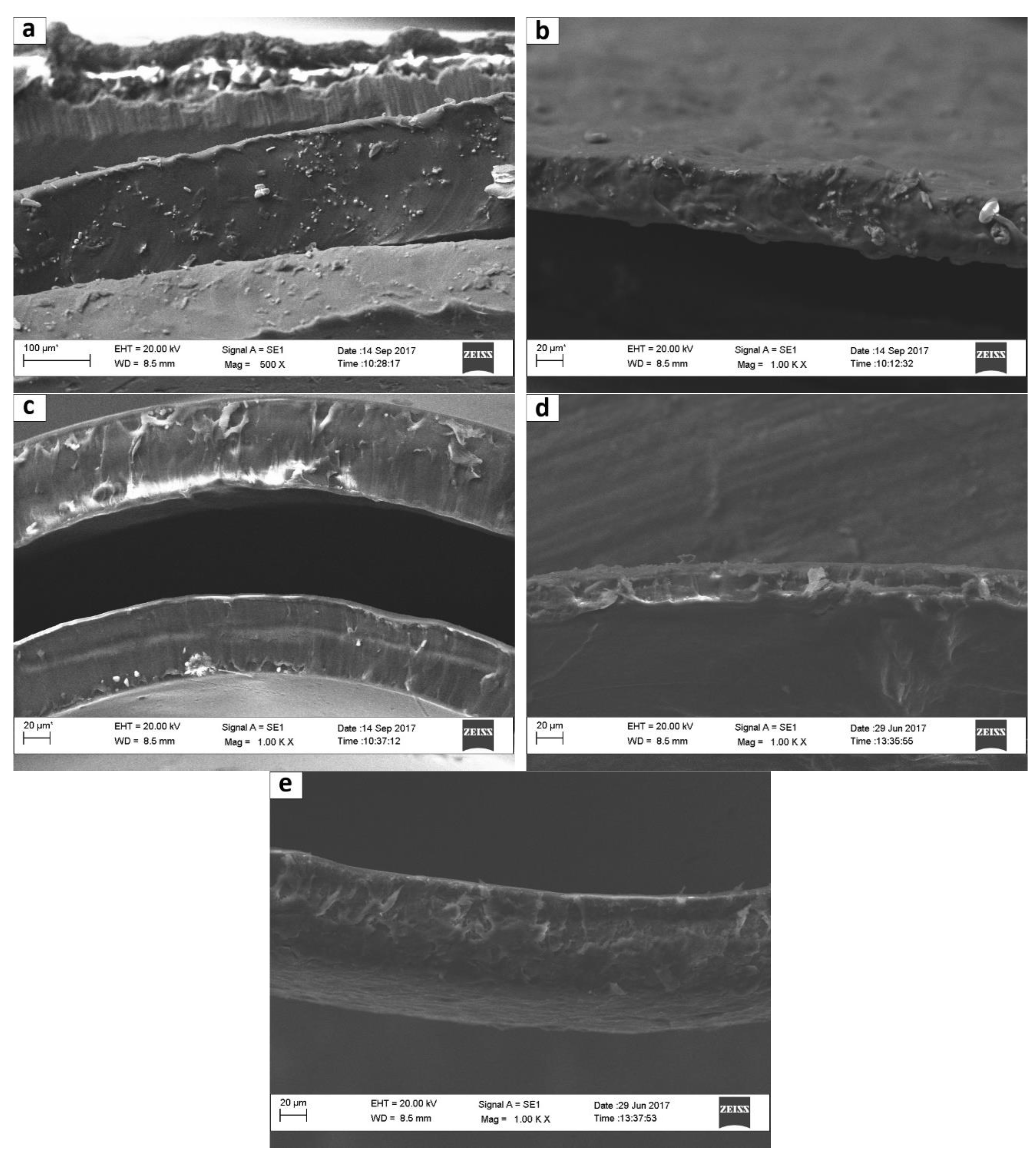 Membranes 09 00119 g008