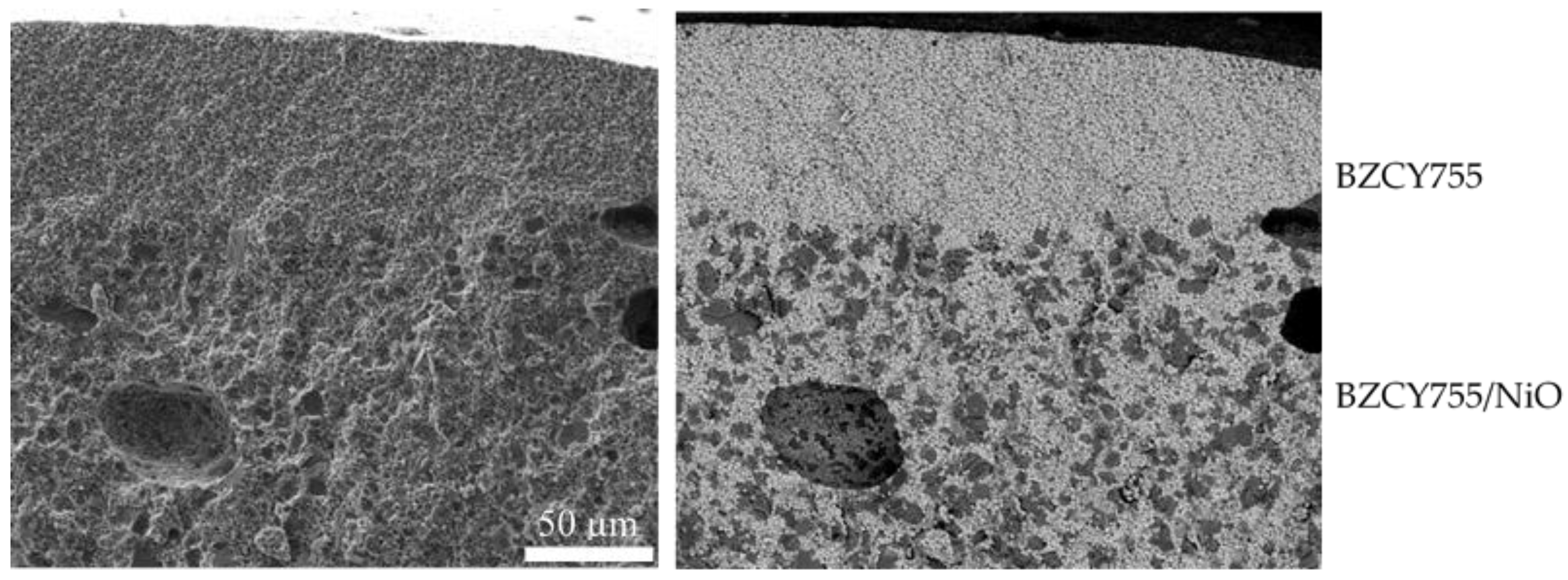 Membranes 09 00130 g010 Membranes 09 00130 g010