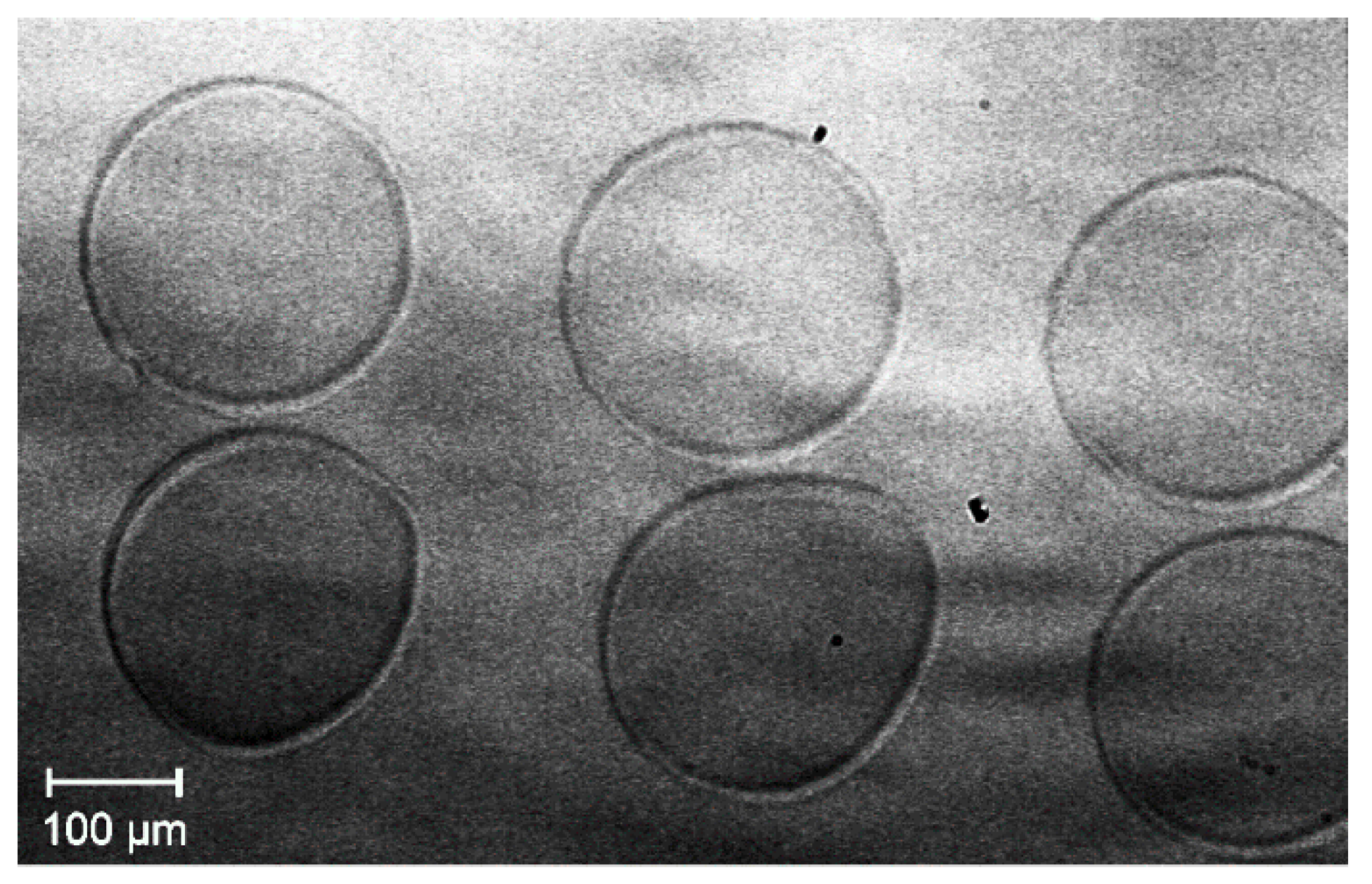 Membranes 09 00131 g009