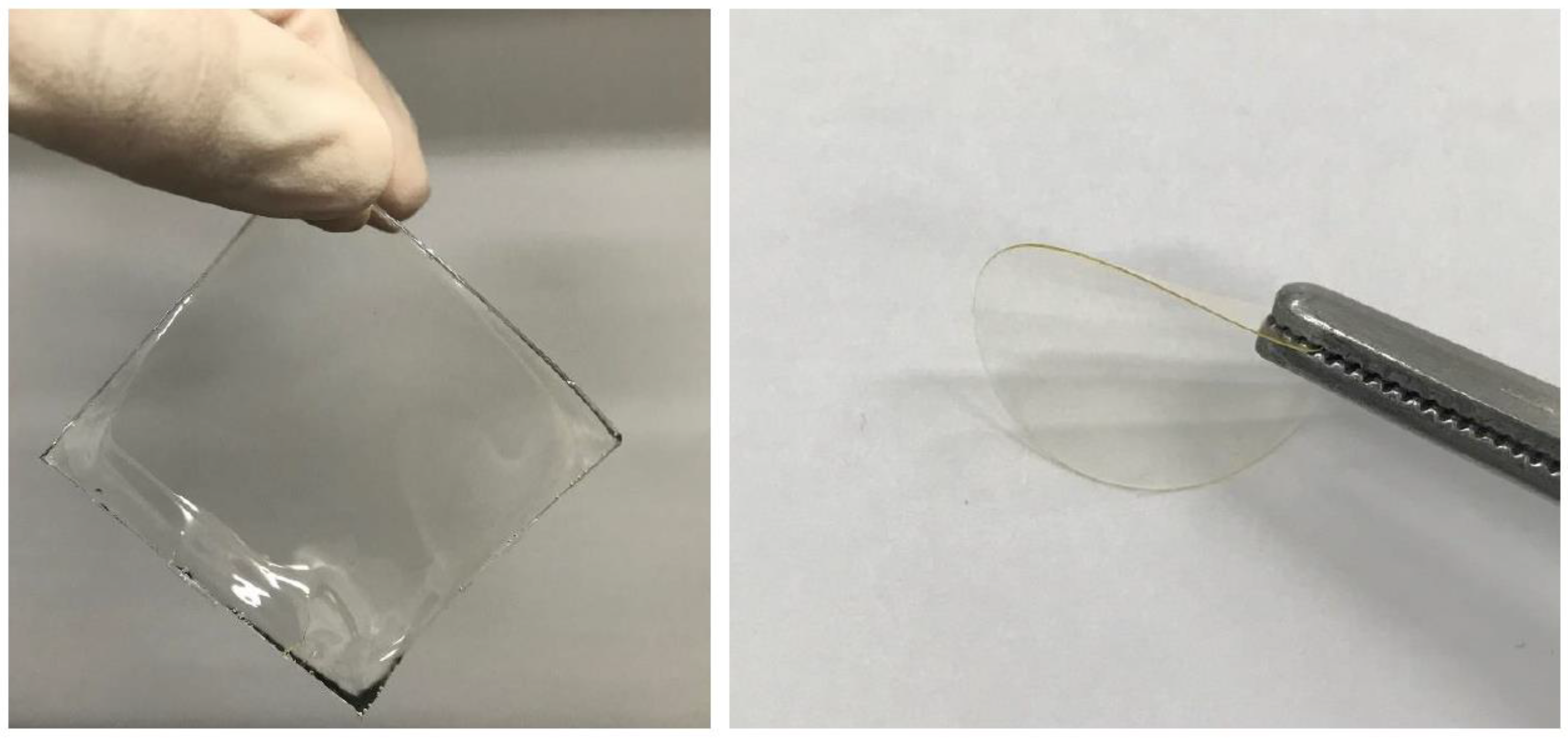 Membranes 09 00139 g003