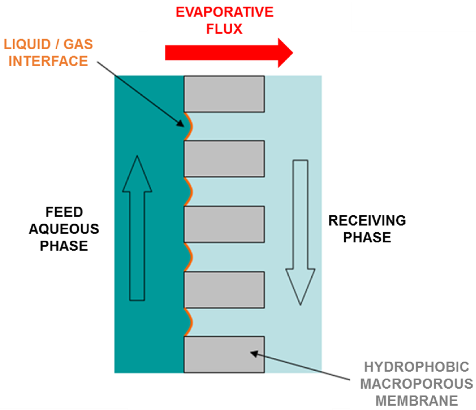 Membranes 09 00158 g001