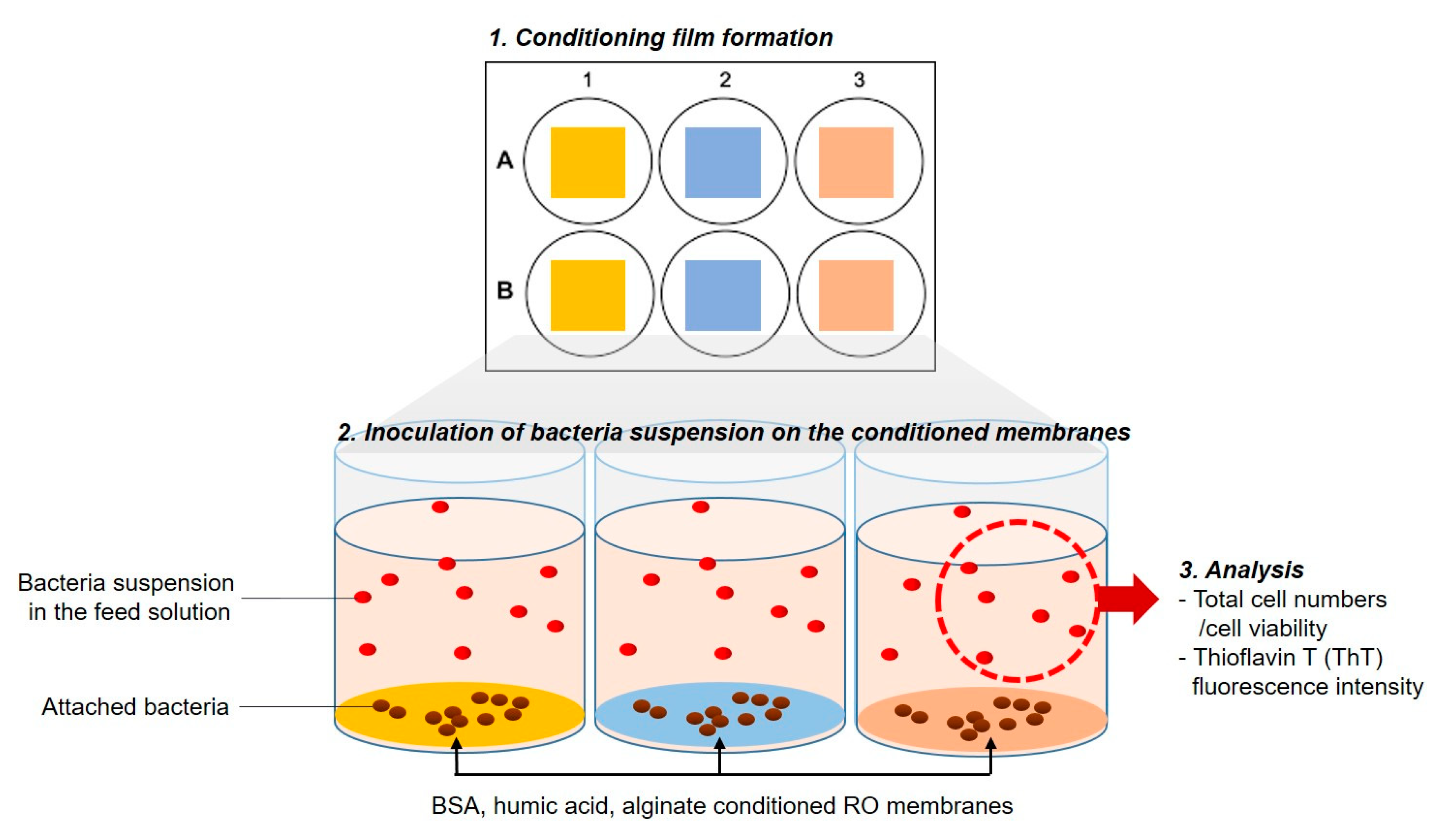 Membranes 09 00162 g001
