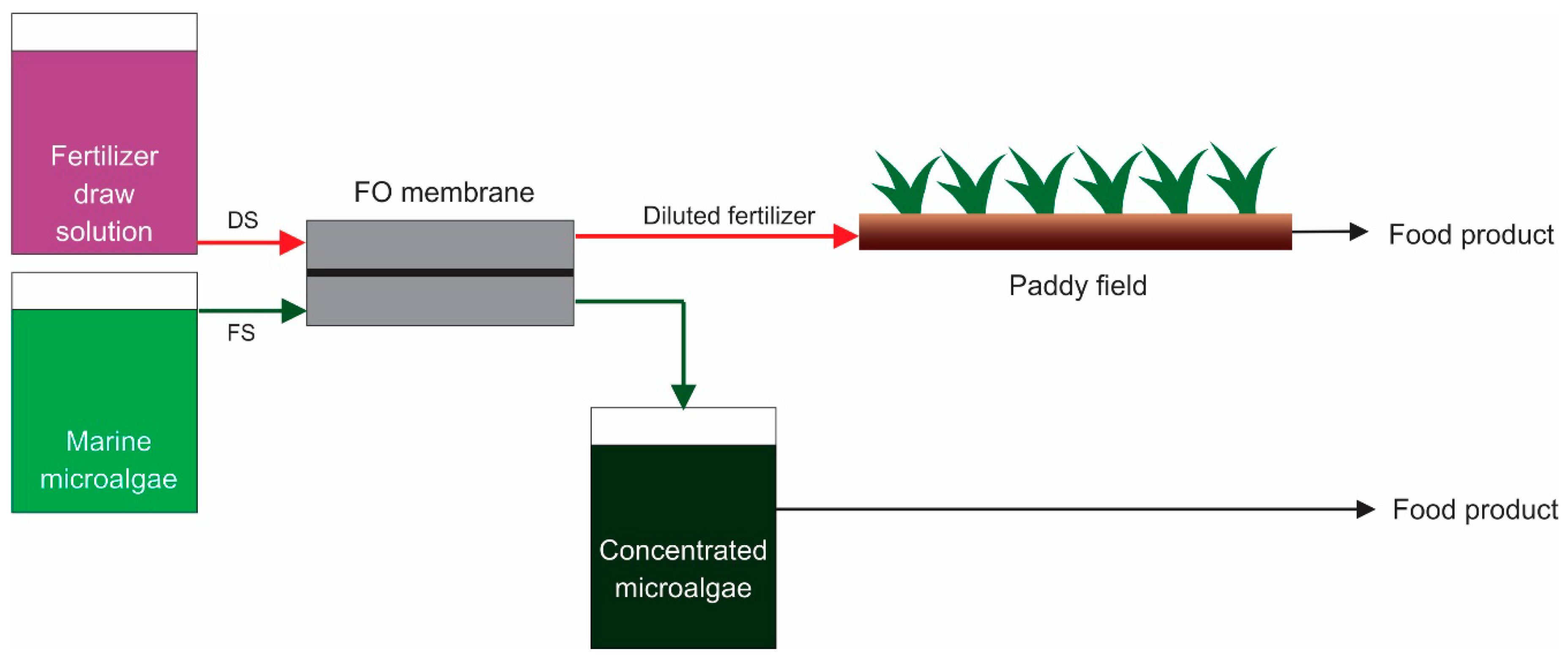 Membranes 09 00166 g004 Membranes 09 00166 g004