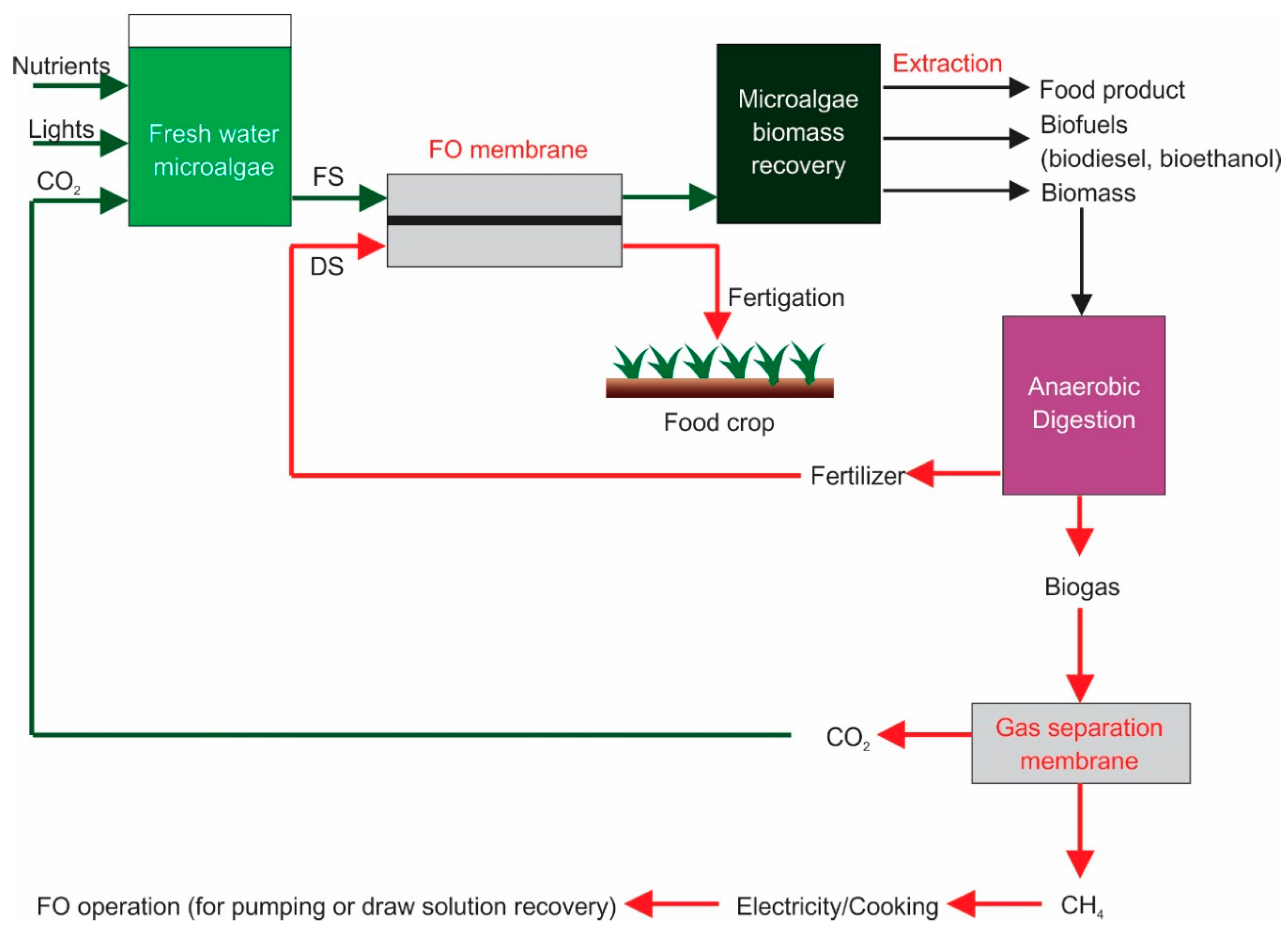 Membranes 09 00166 g005 Membranes 09 00166 g005