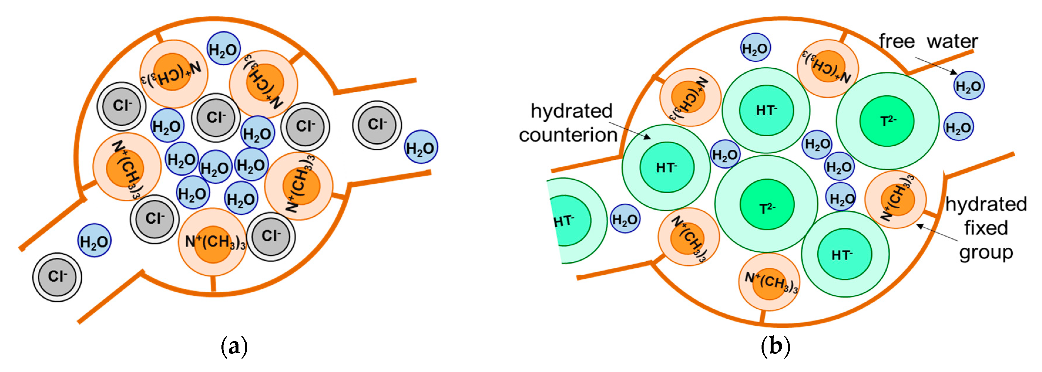 Membranes 09 00170 g004 Membranes 09 00170 g004