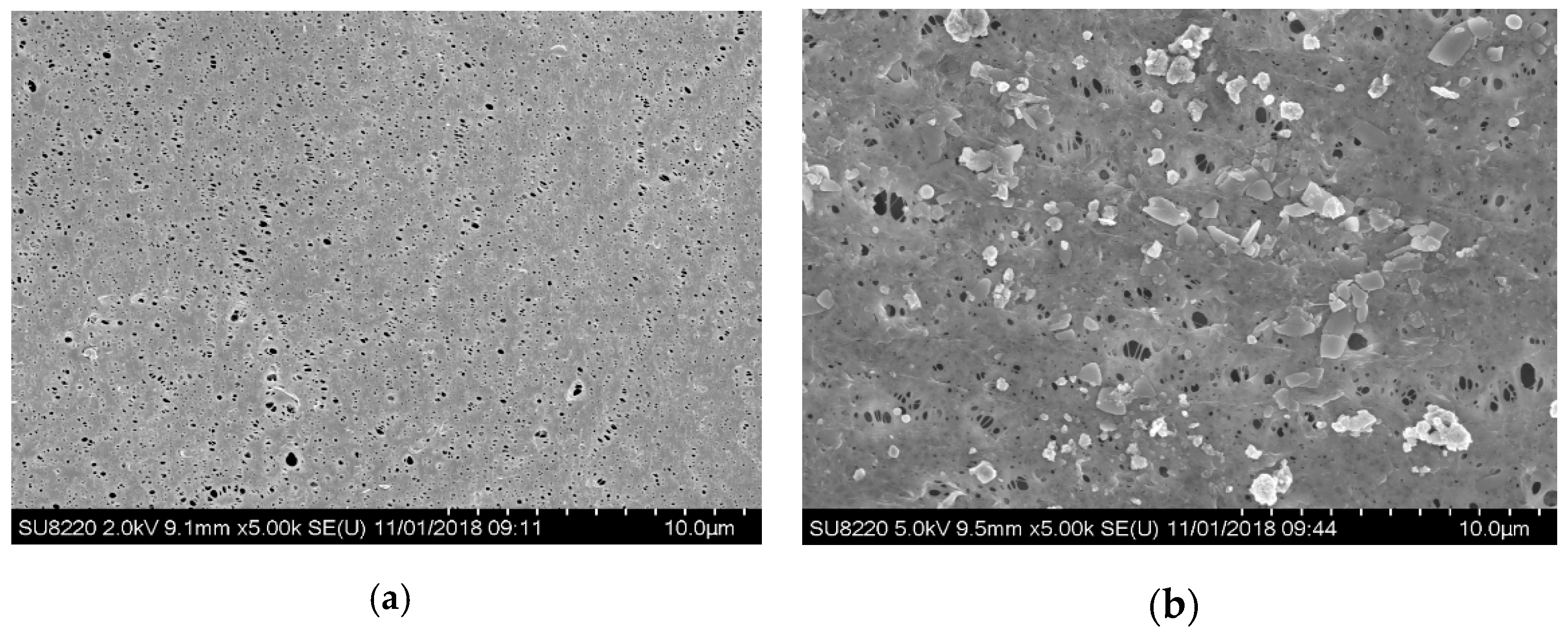 Membranes 09 00172 g007 Membranes 09 00172 g007