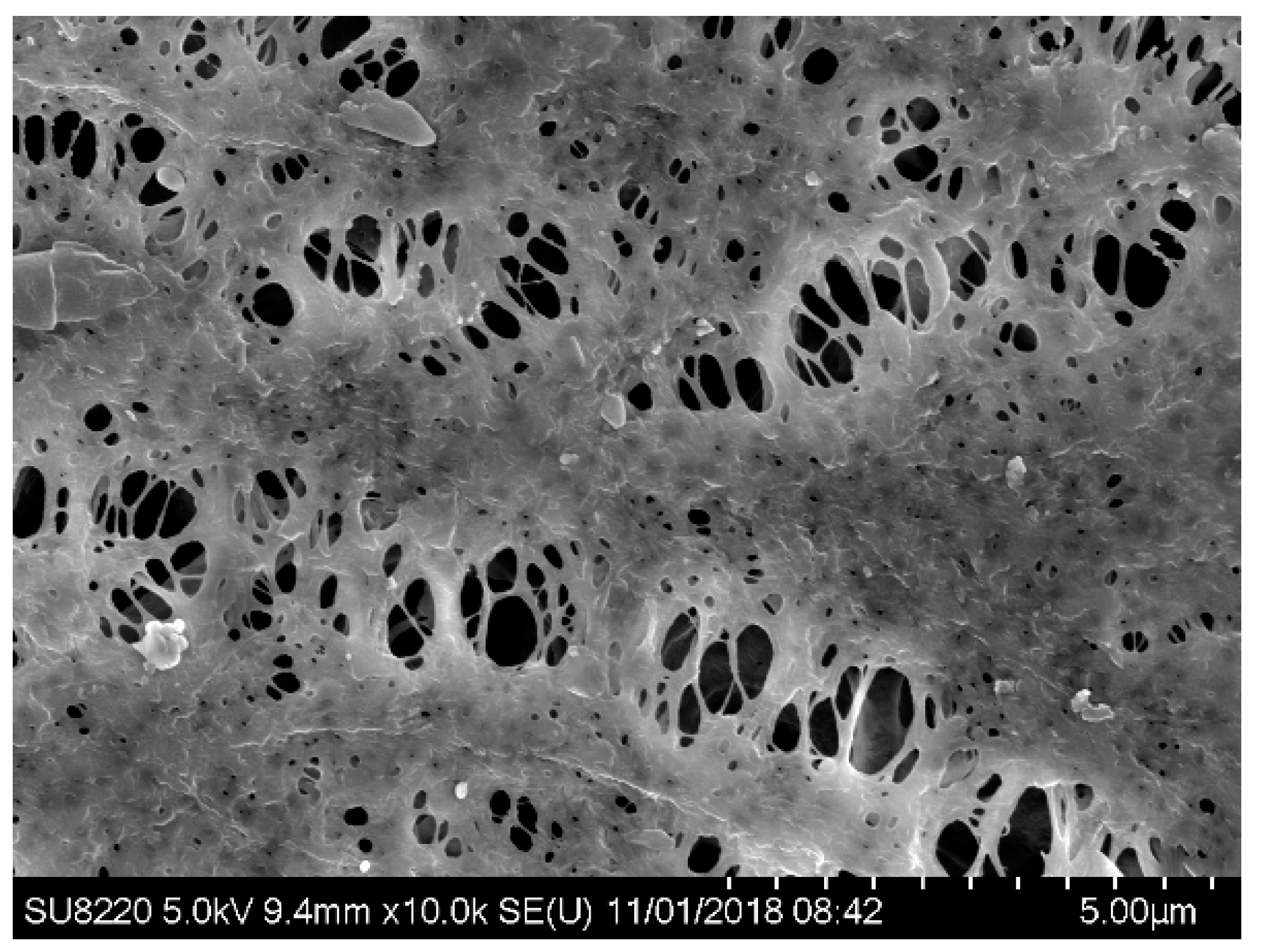 Membranes 09 00172 g010 Membranes 09 00172 g010