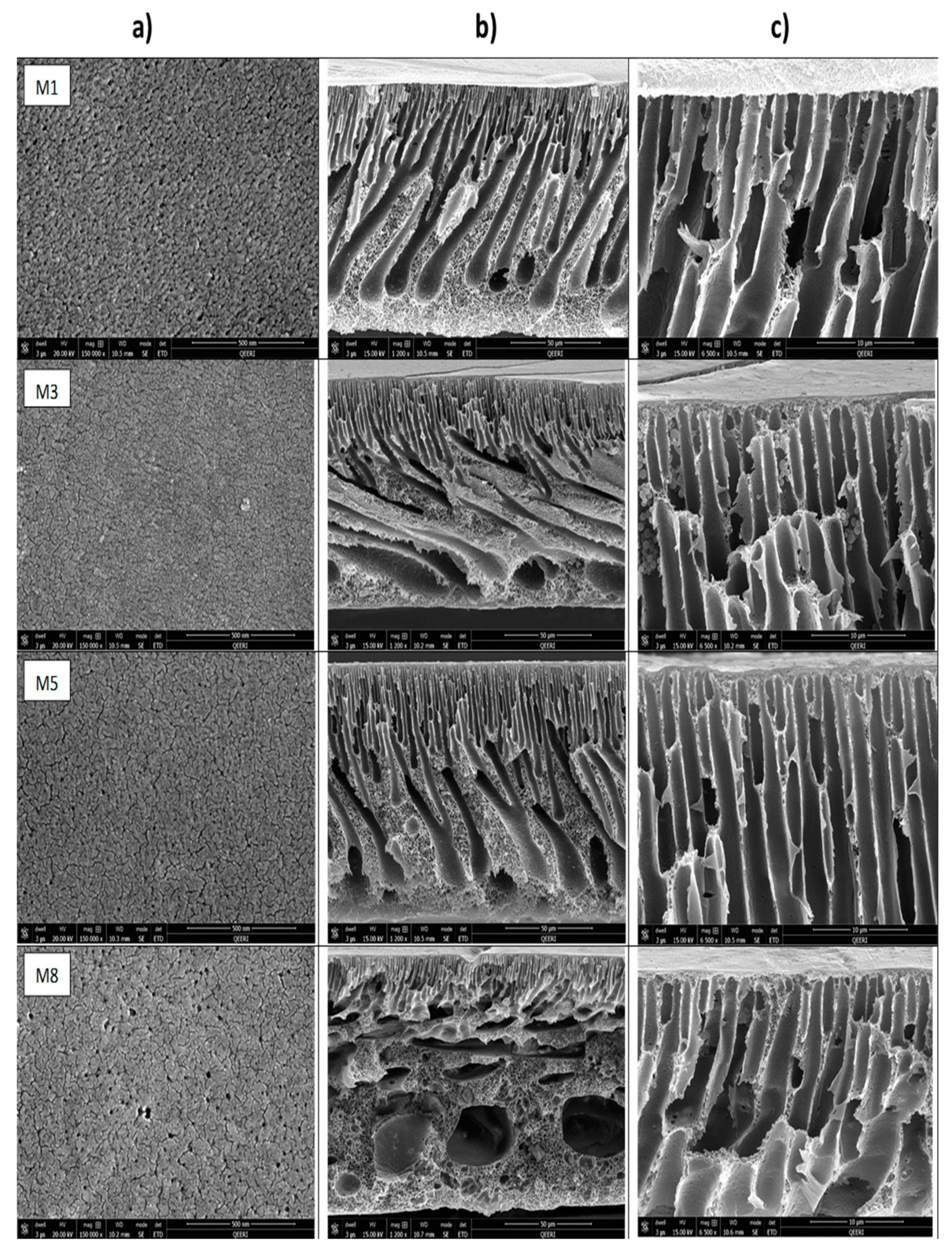 Membranes 10 00002 g008a Membranes 10 00002 g008a