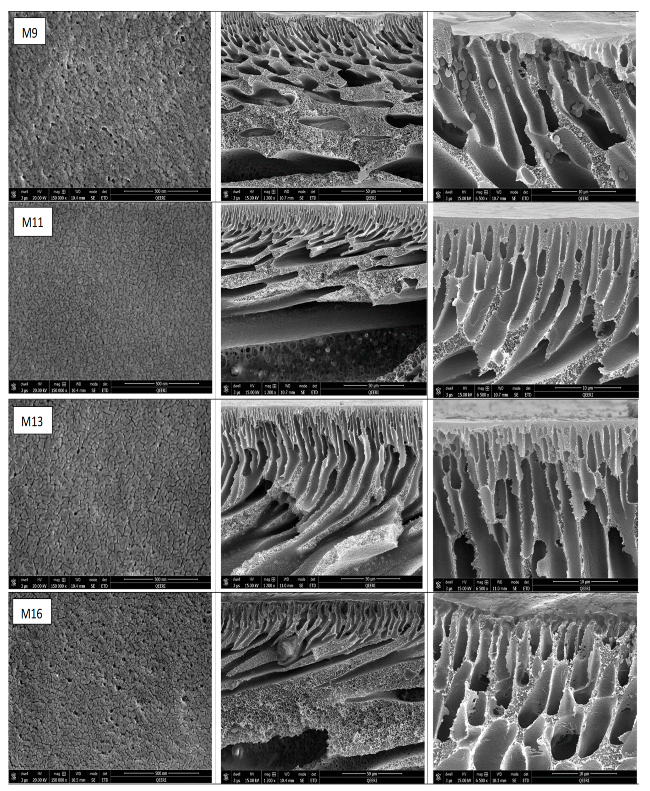 Membranes 10 00002 g008b Membranes 10 00002 g008b