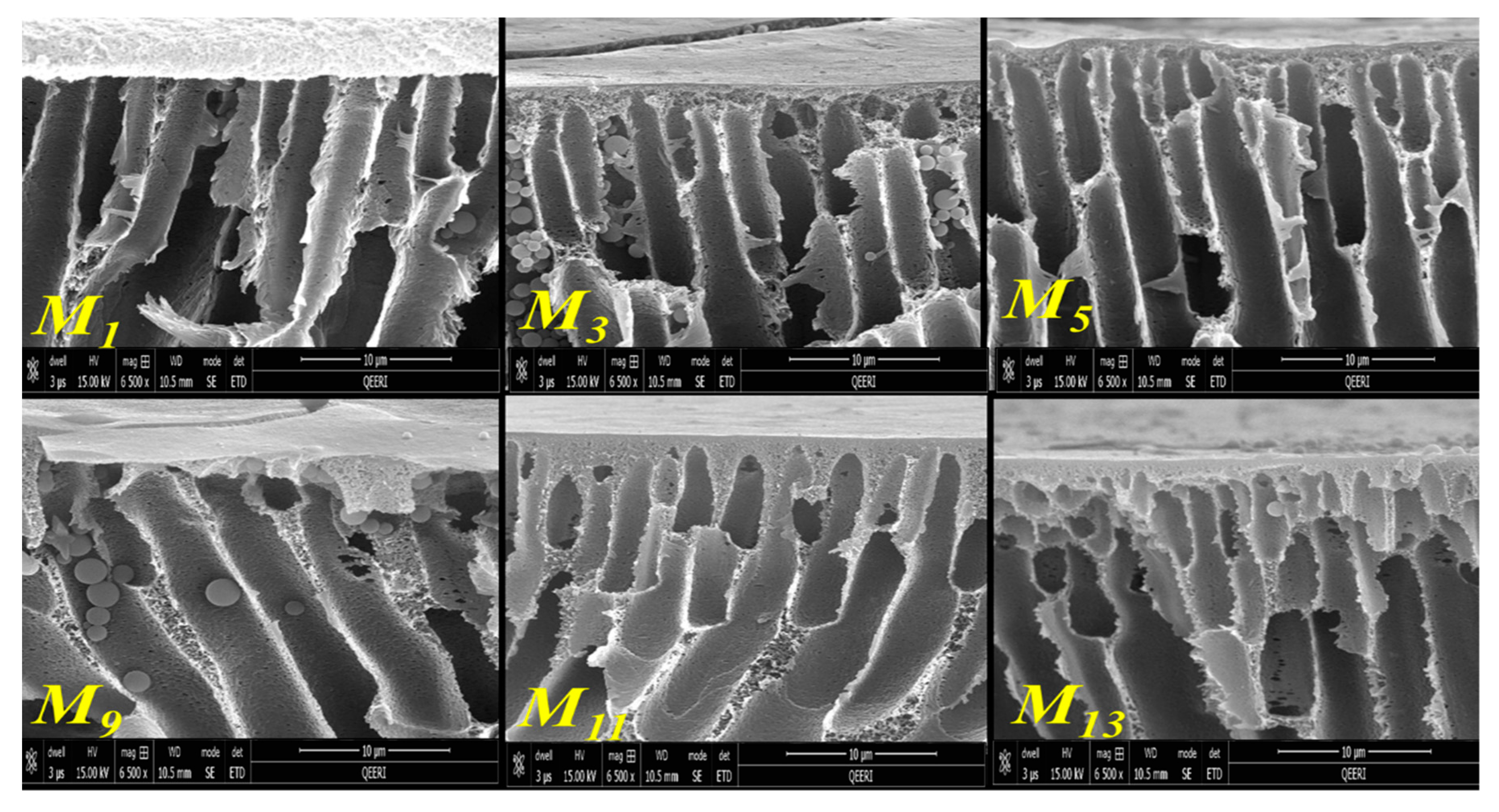 Membranes 10 00002 g010 Membranes 10 00002 g010